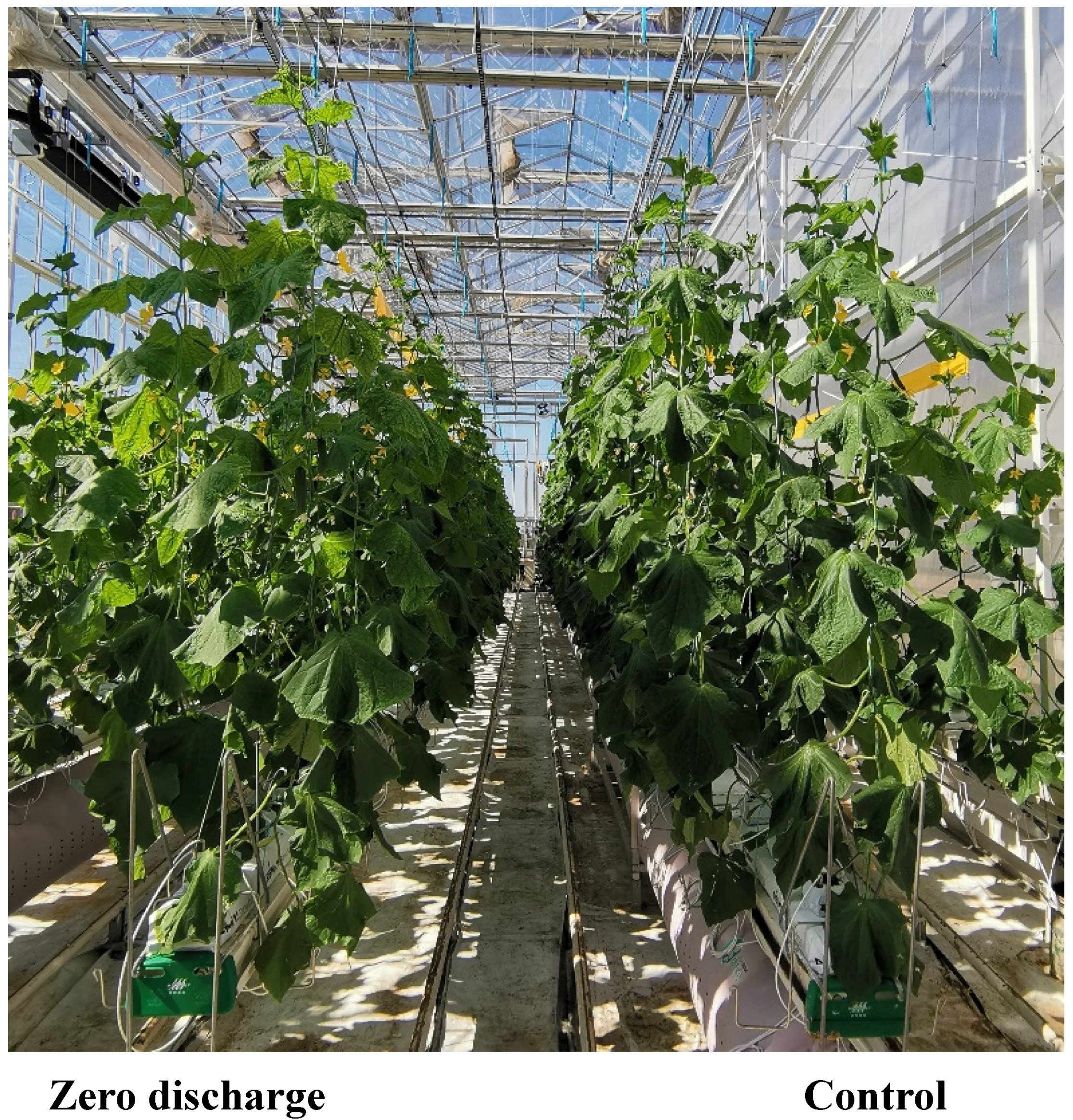 Plants 11 02252 g009