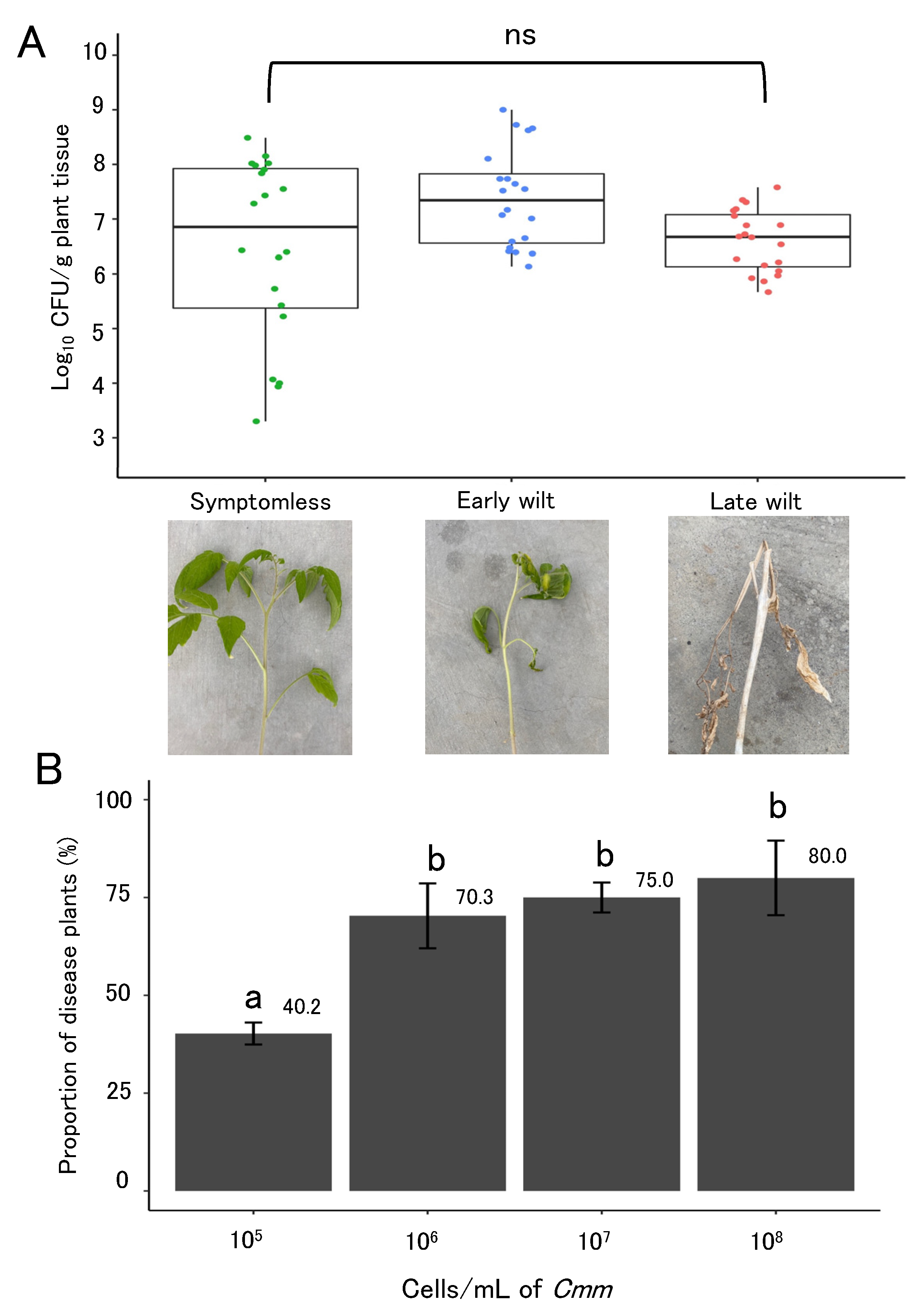 Plants 11 02253 g002 Plants 11 02253 g002
