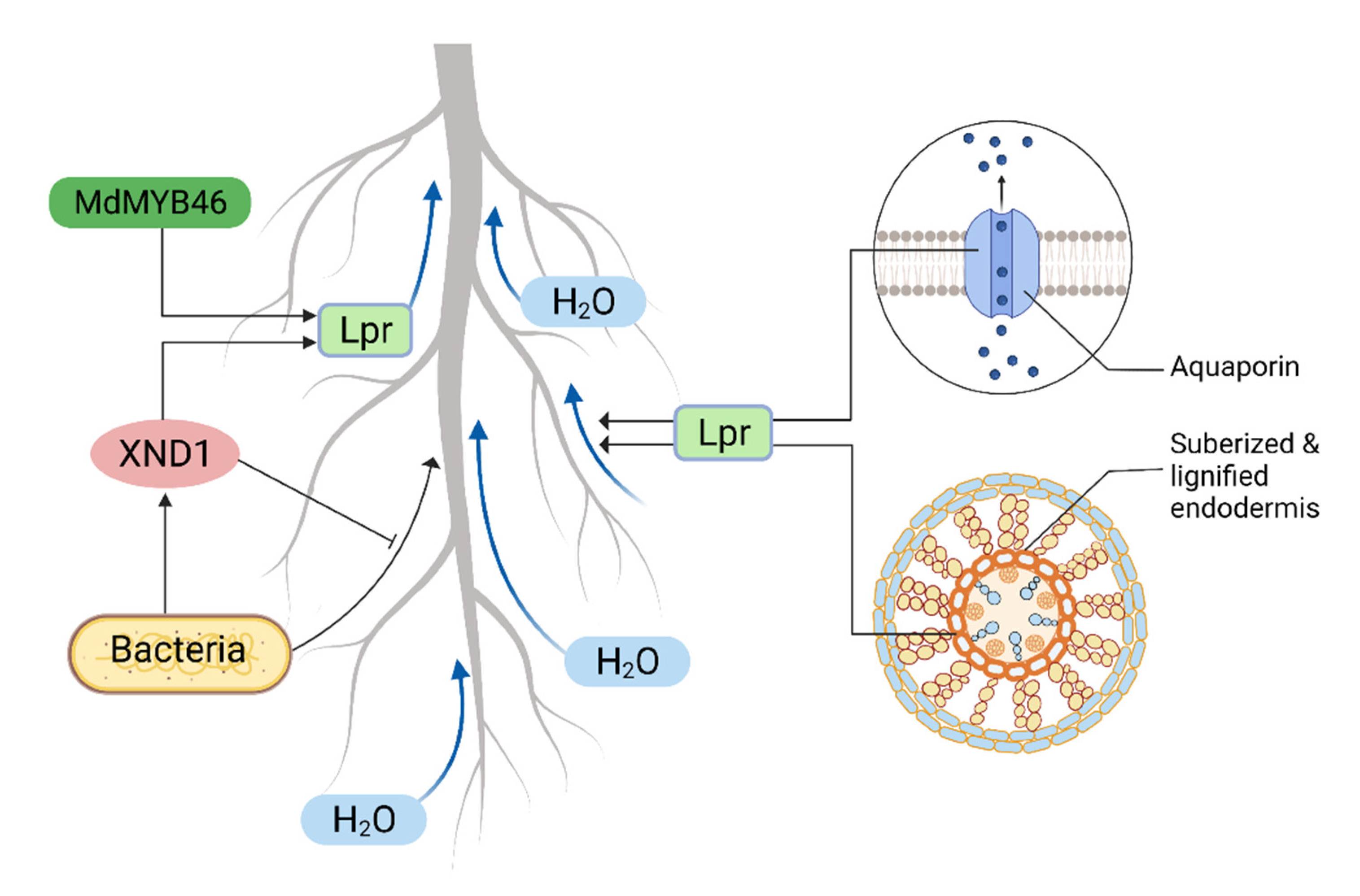 Plants 11 02256 g002