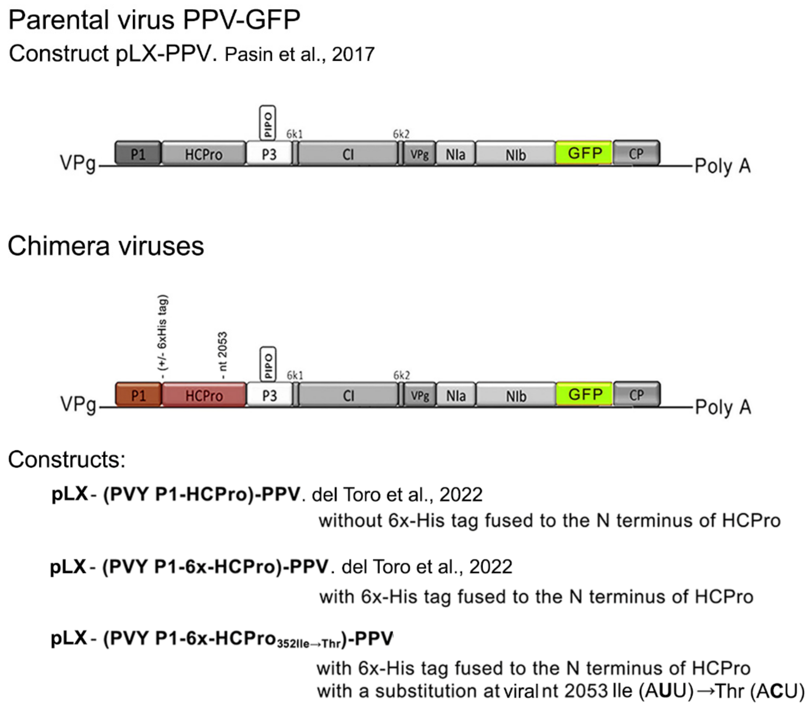 Plants 11 02262 g001 550