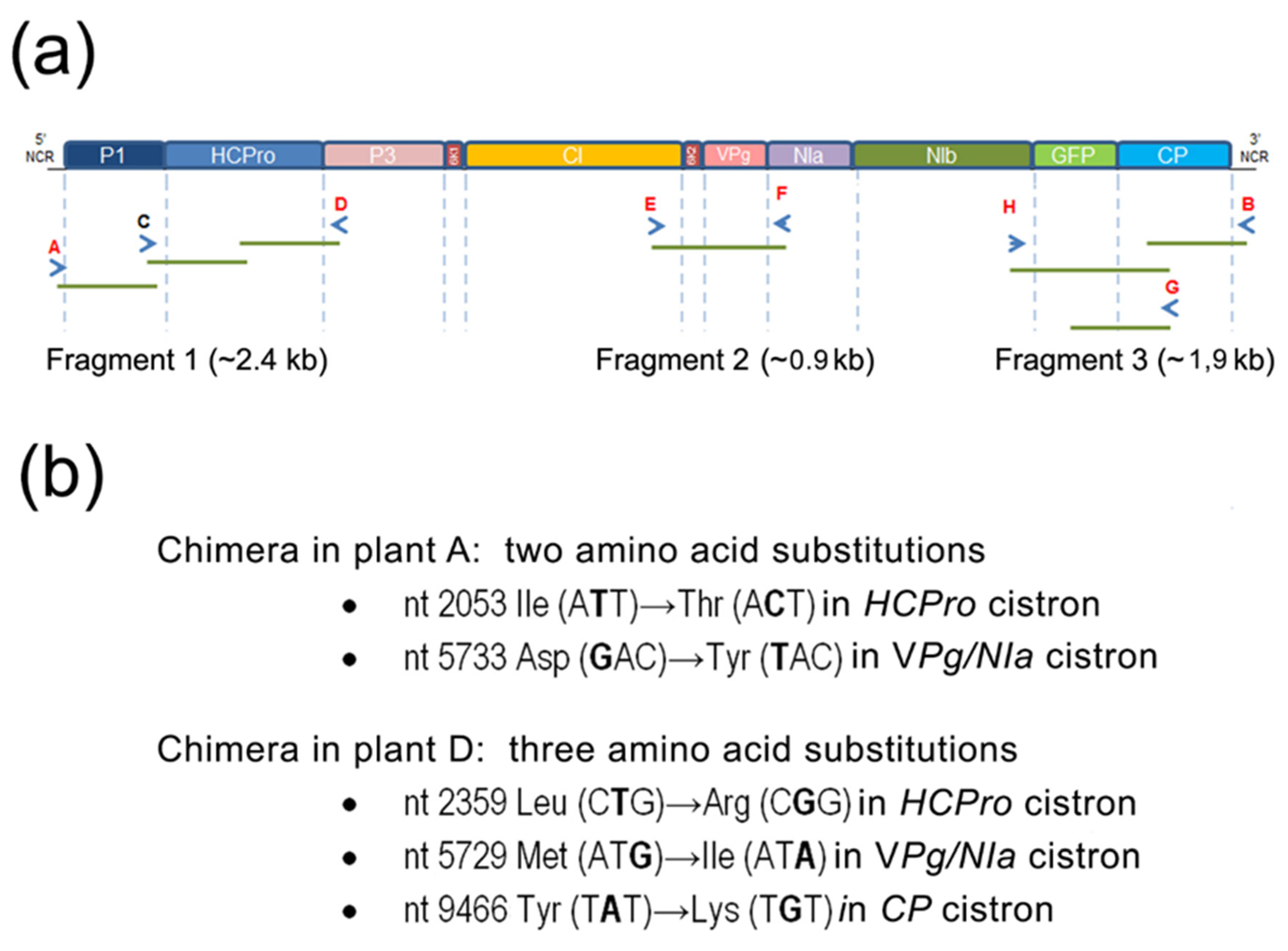 Plants 11 02262 g003 550