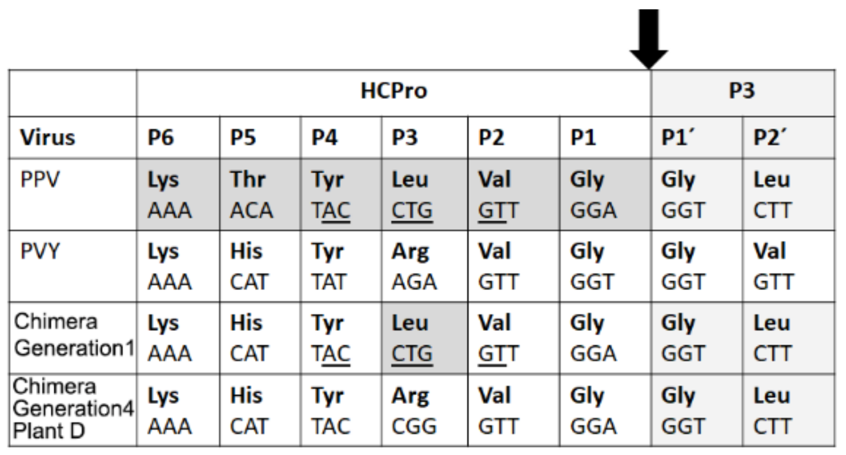 Plants 11 02262 g004 550