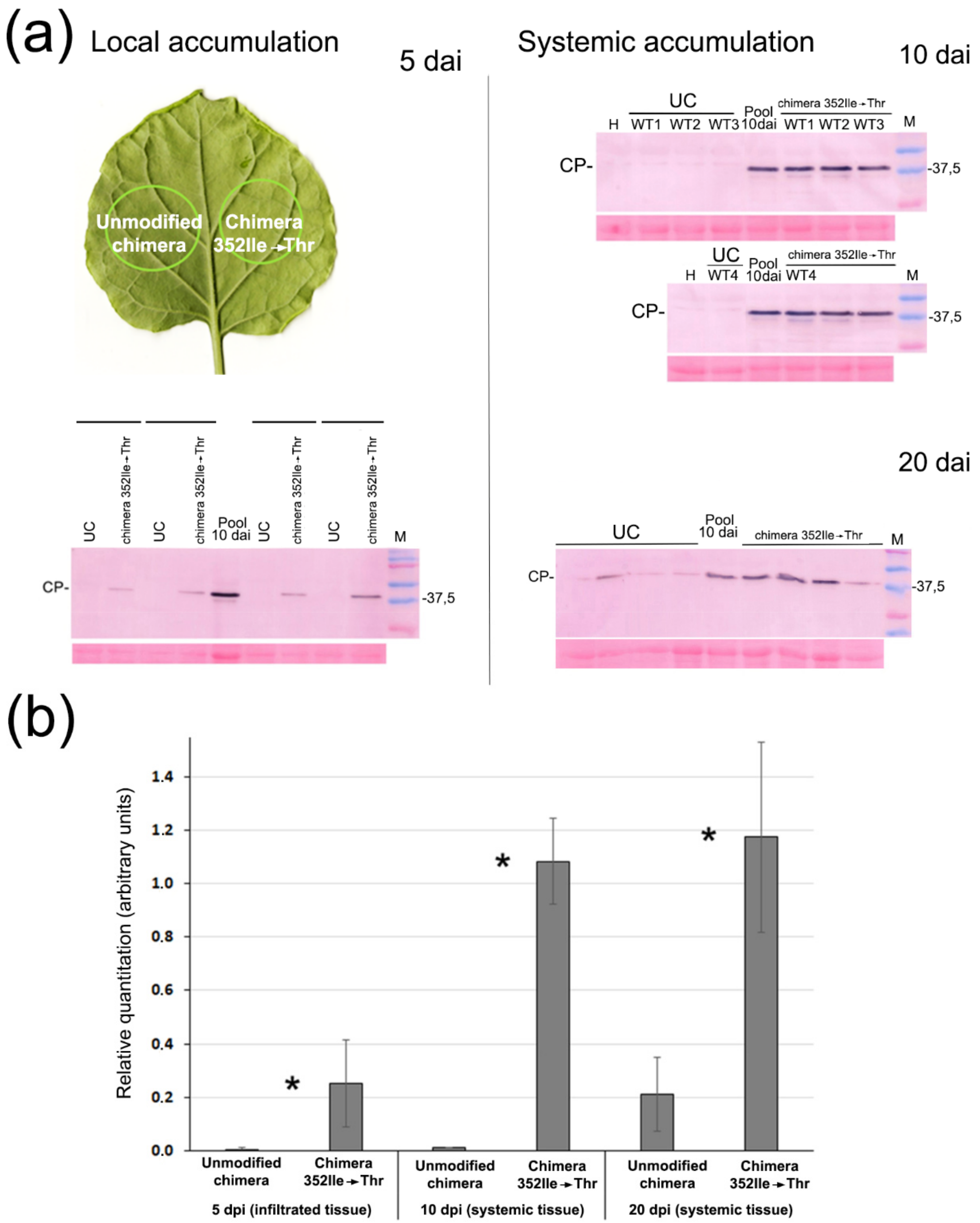Plants 11 02262 g006 550