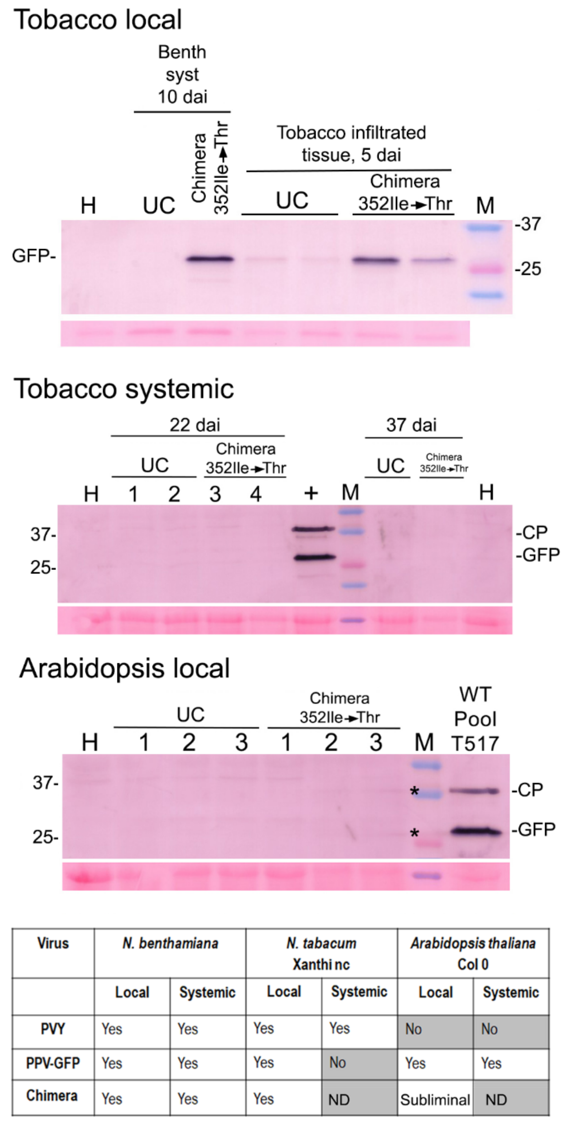 Plants 11 02262 g007 550