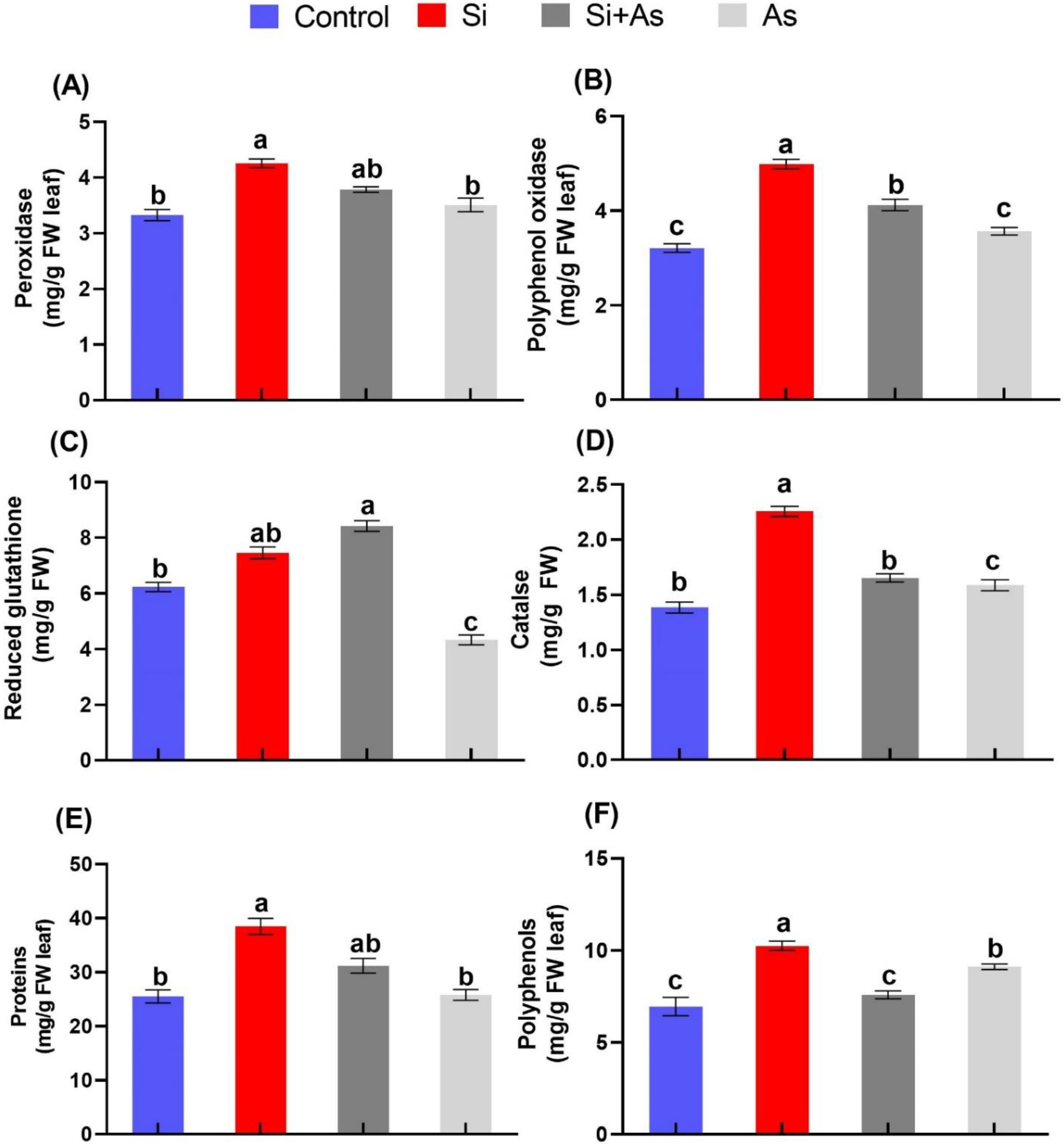 Plants 11 02263 g004 550
