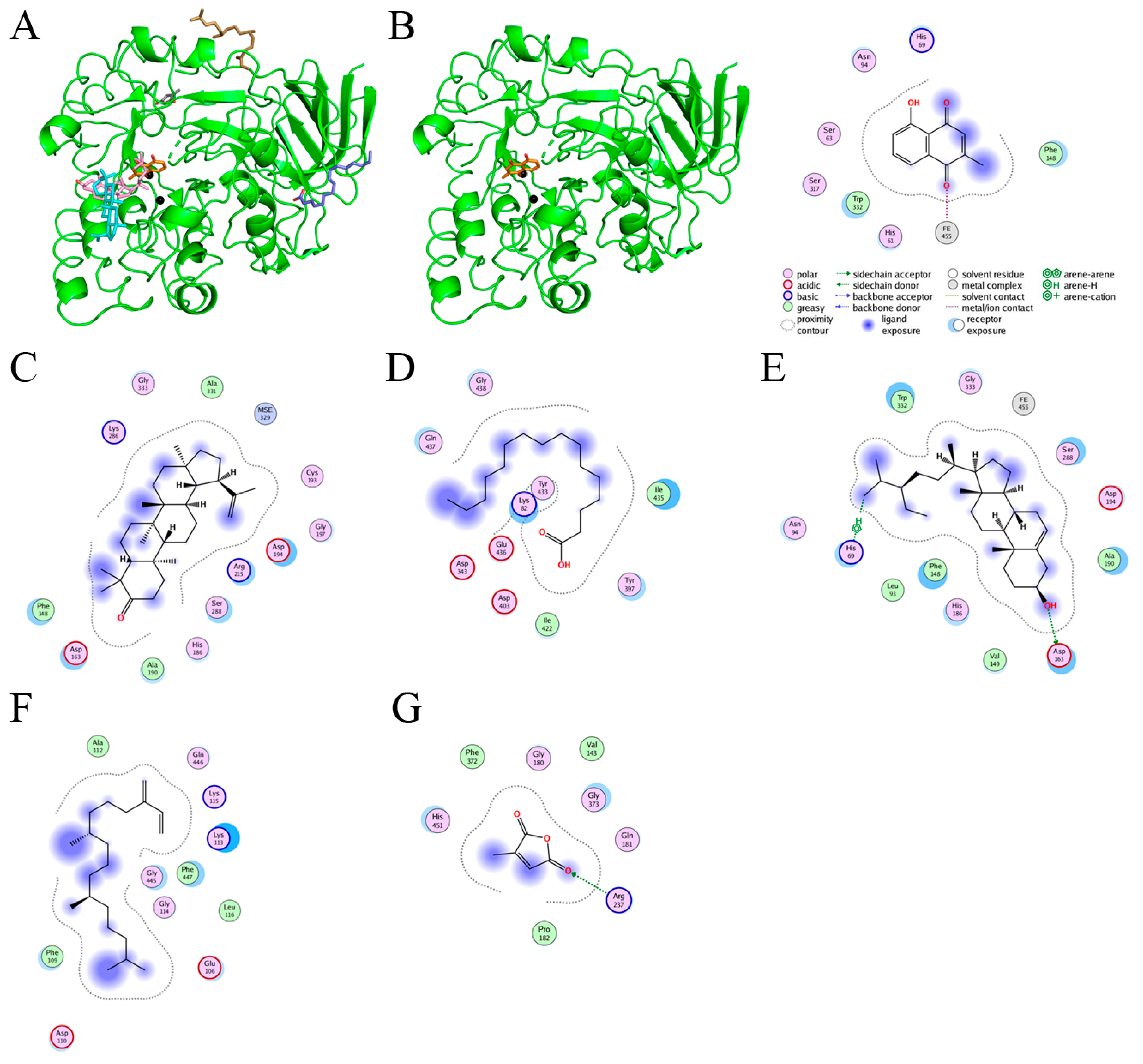 Plants 11 02265 g008 Plants 11 02265 g008