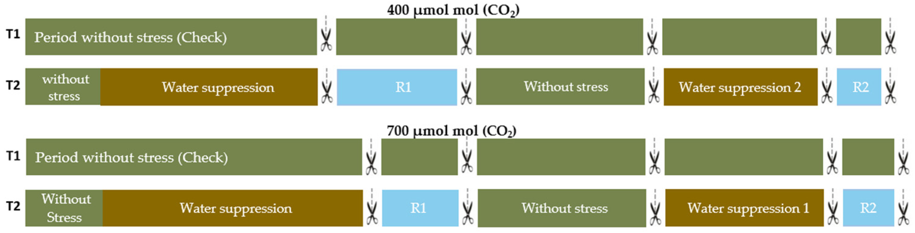 Plants 11 02270 g001 550