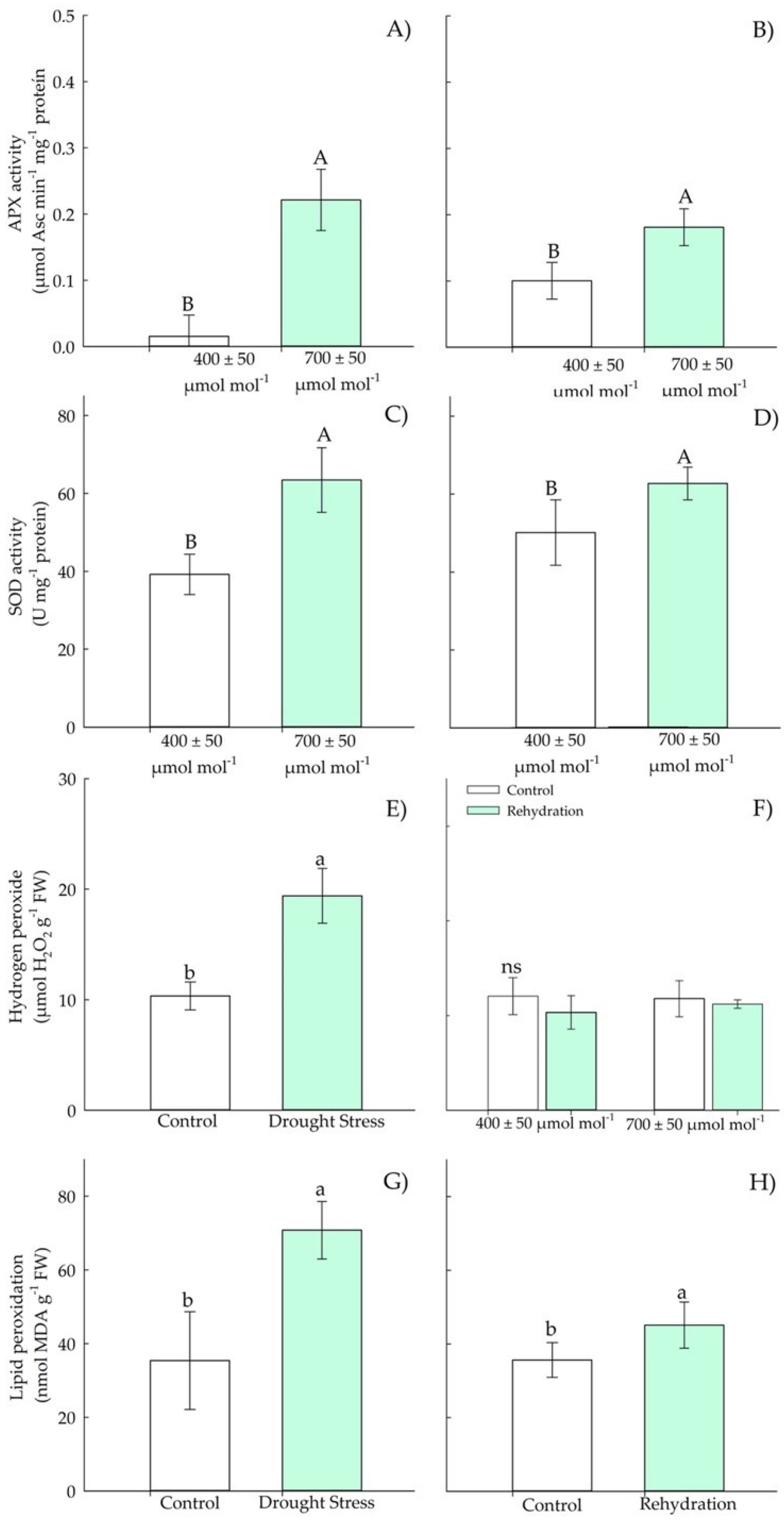 Plants 11 02270 g004 550