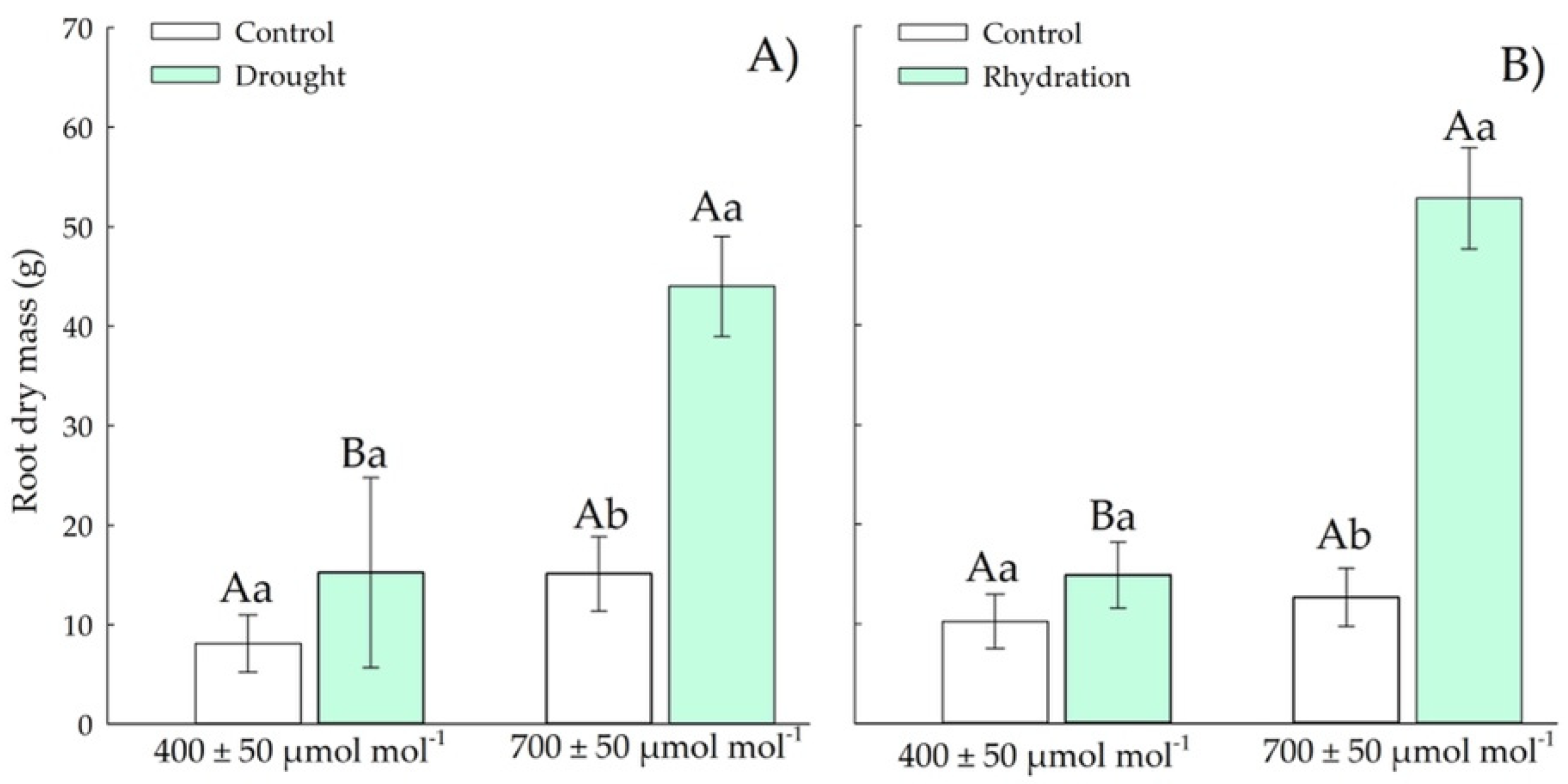 Plants 11 02270 g006 550