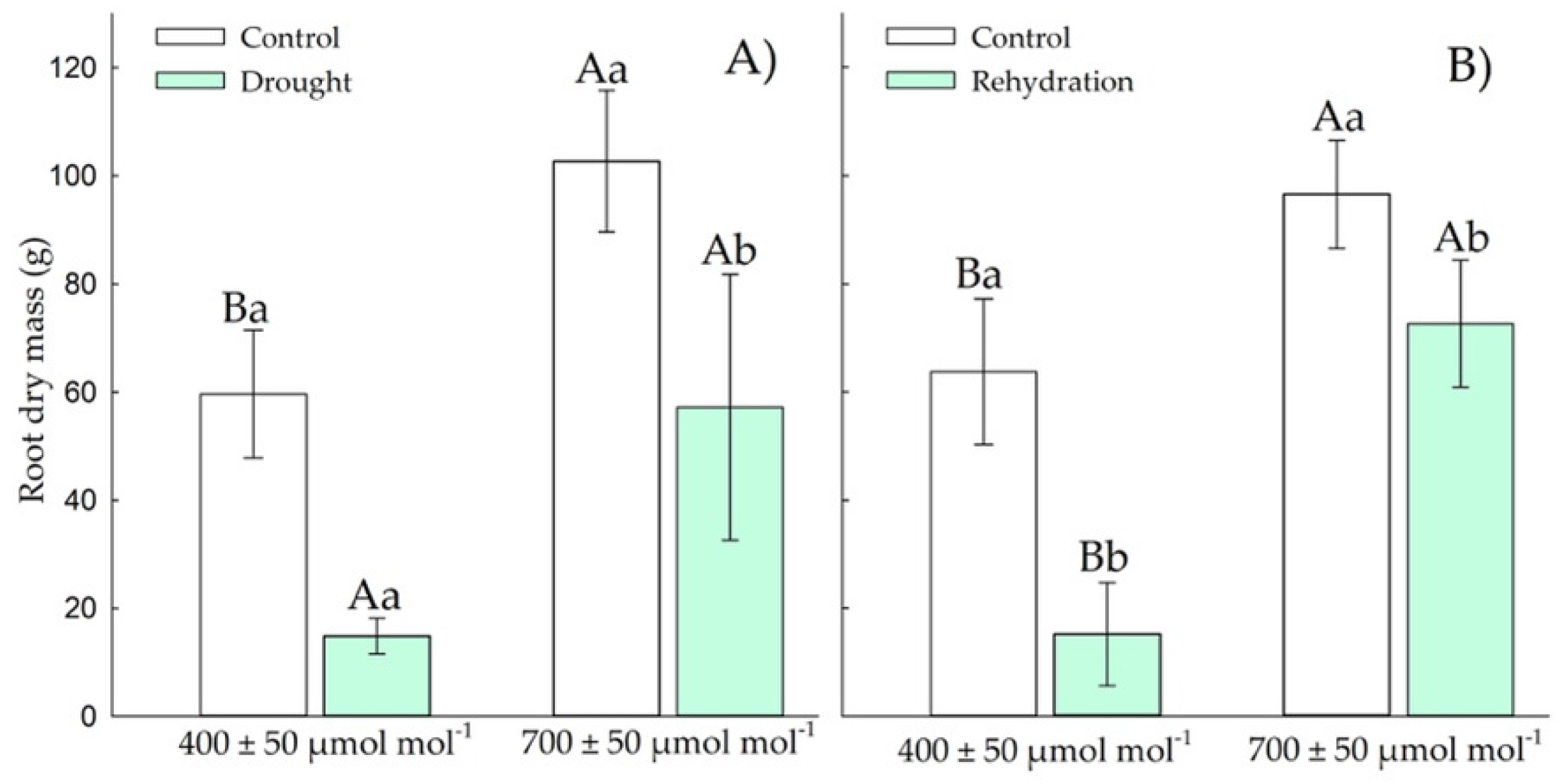 Plants 11 02270 g011 550