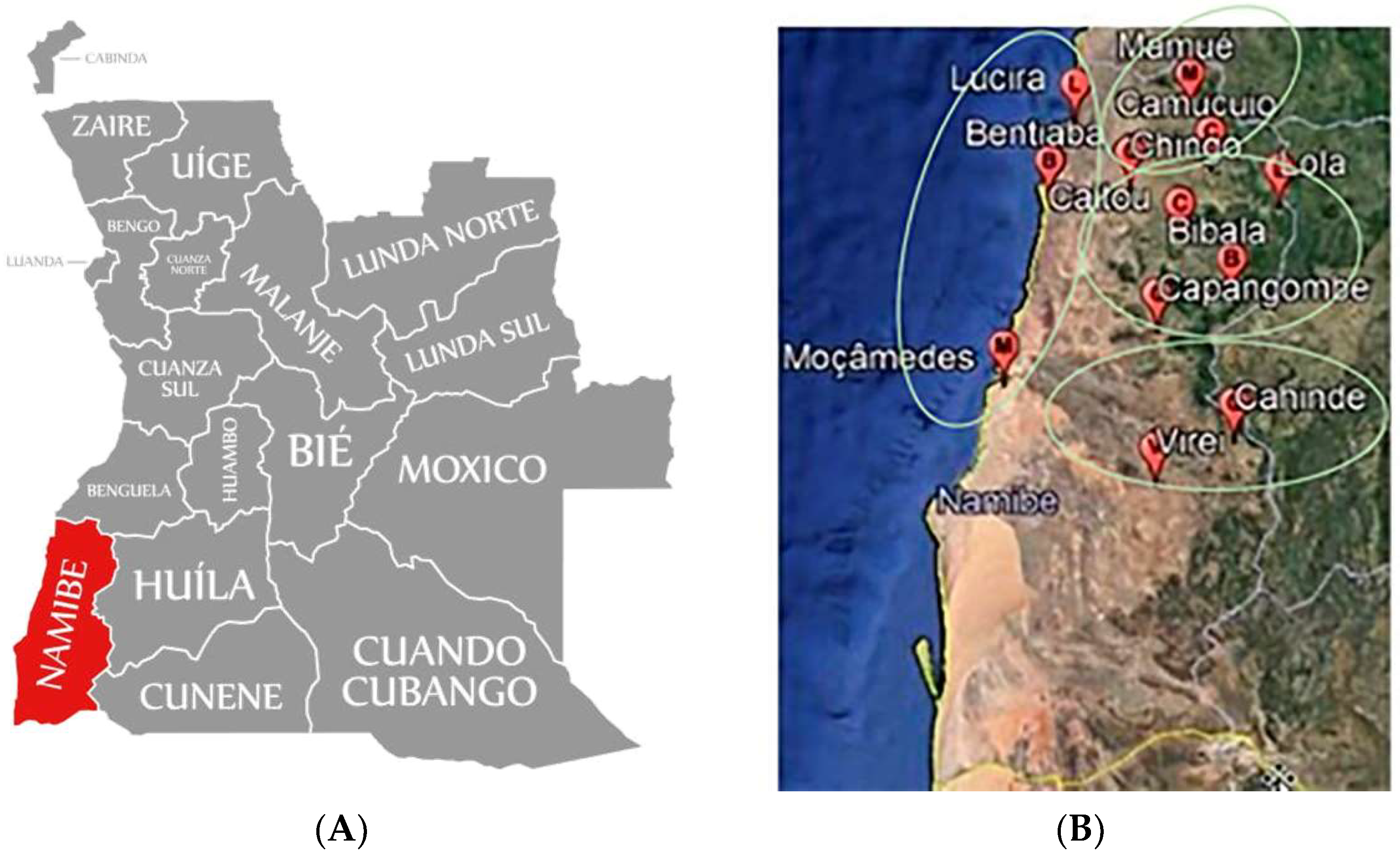 Plants 11 02272 g002 Plants 11 02272 g002