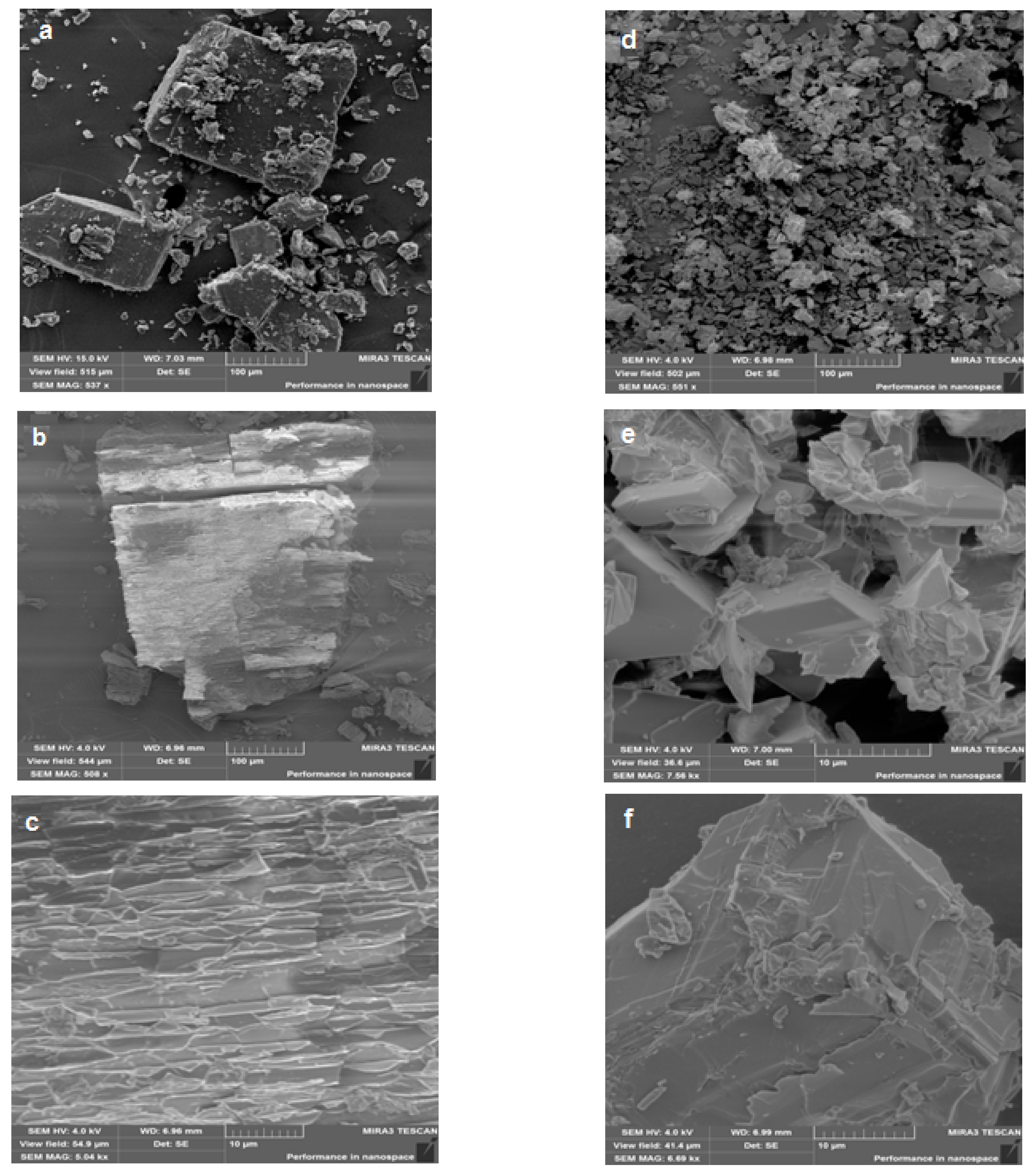 Plants 11 02283 g013