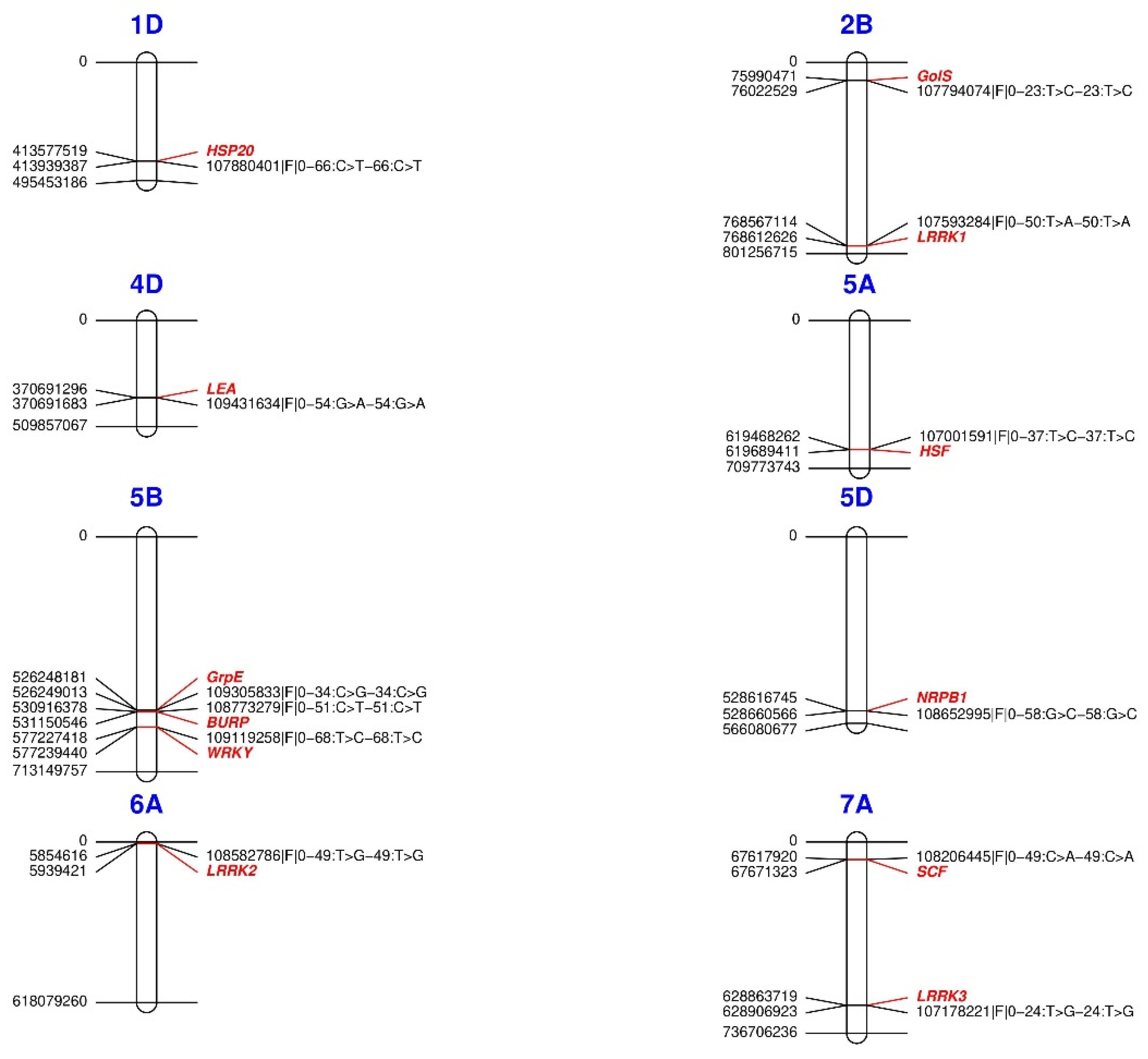 Plants 11 02289 g006