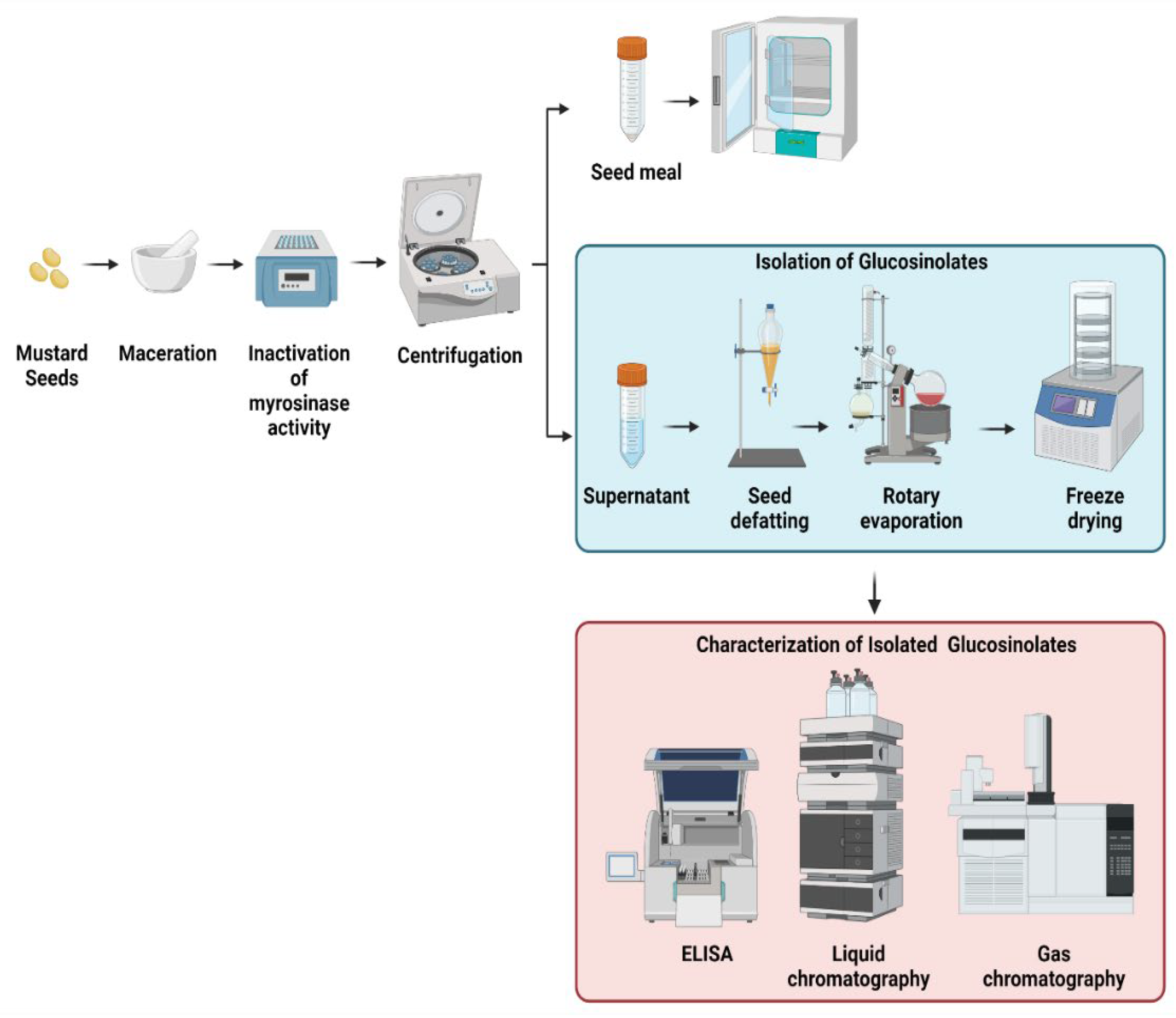 Plants 11 02290 g003