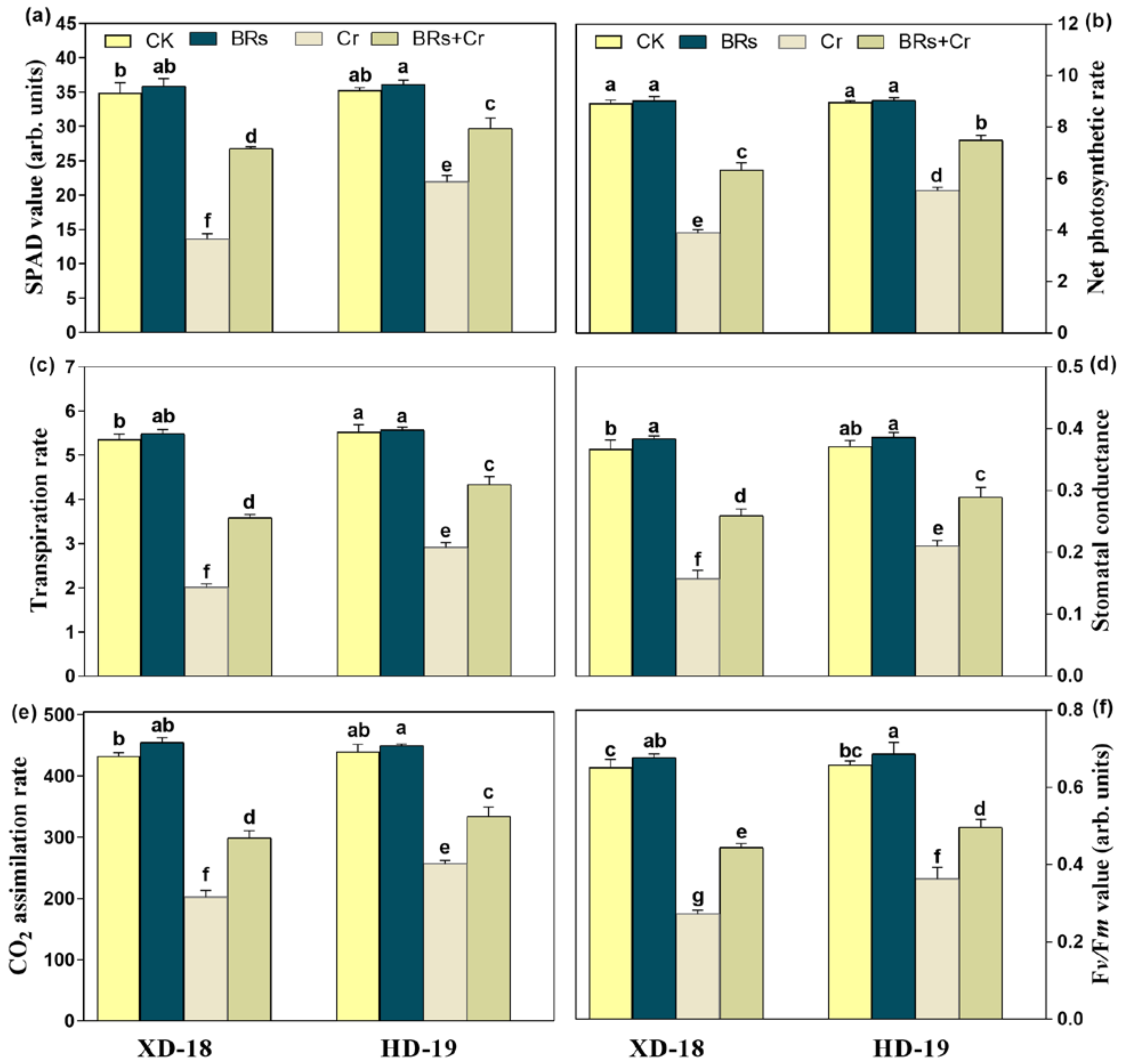 Plants 11 02292 g001 550