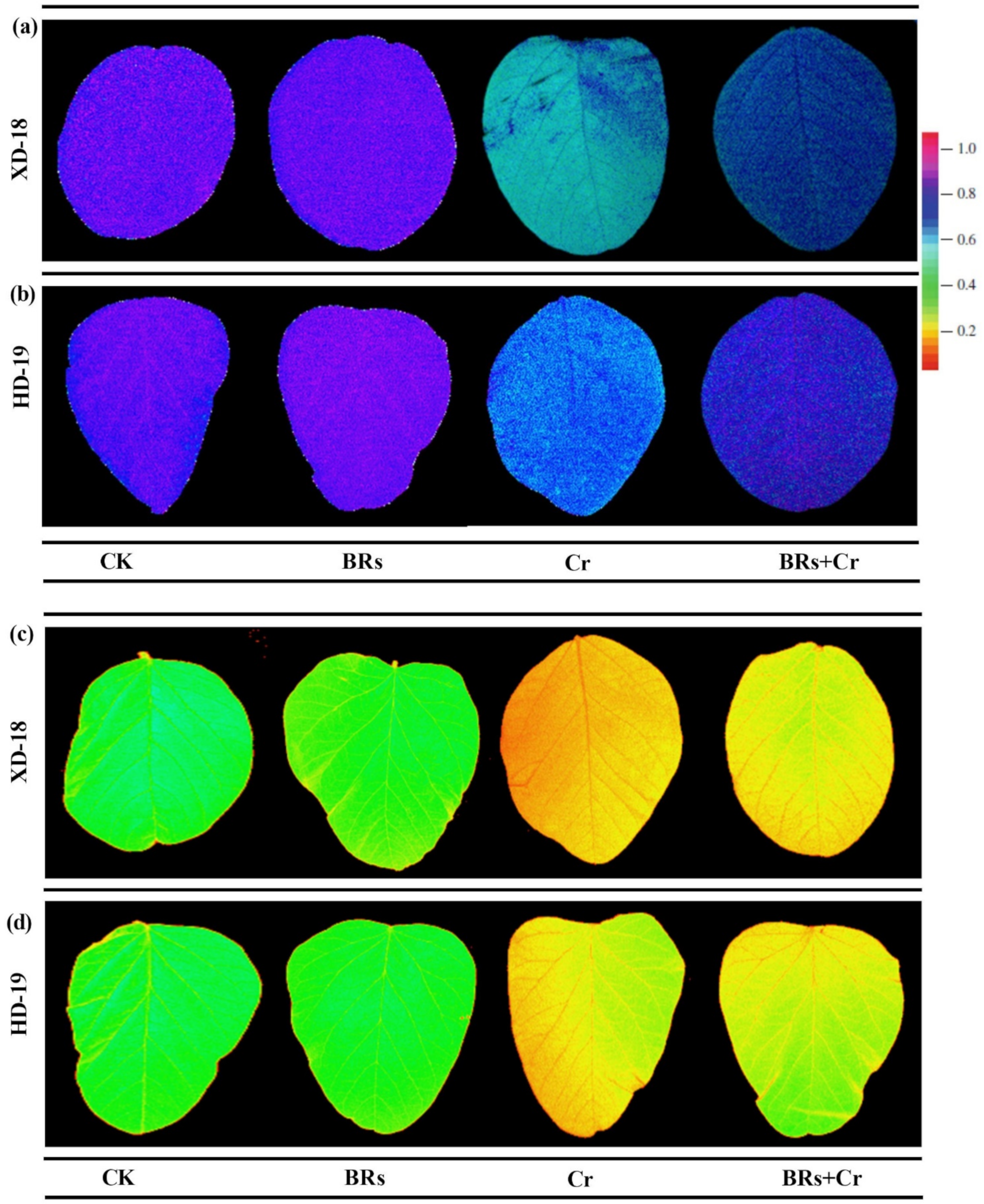 Plants 11 02292 g002 550