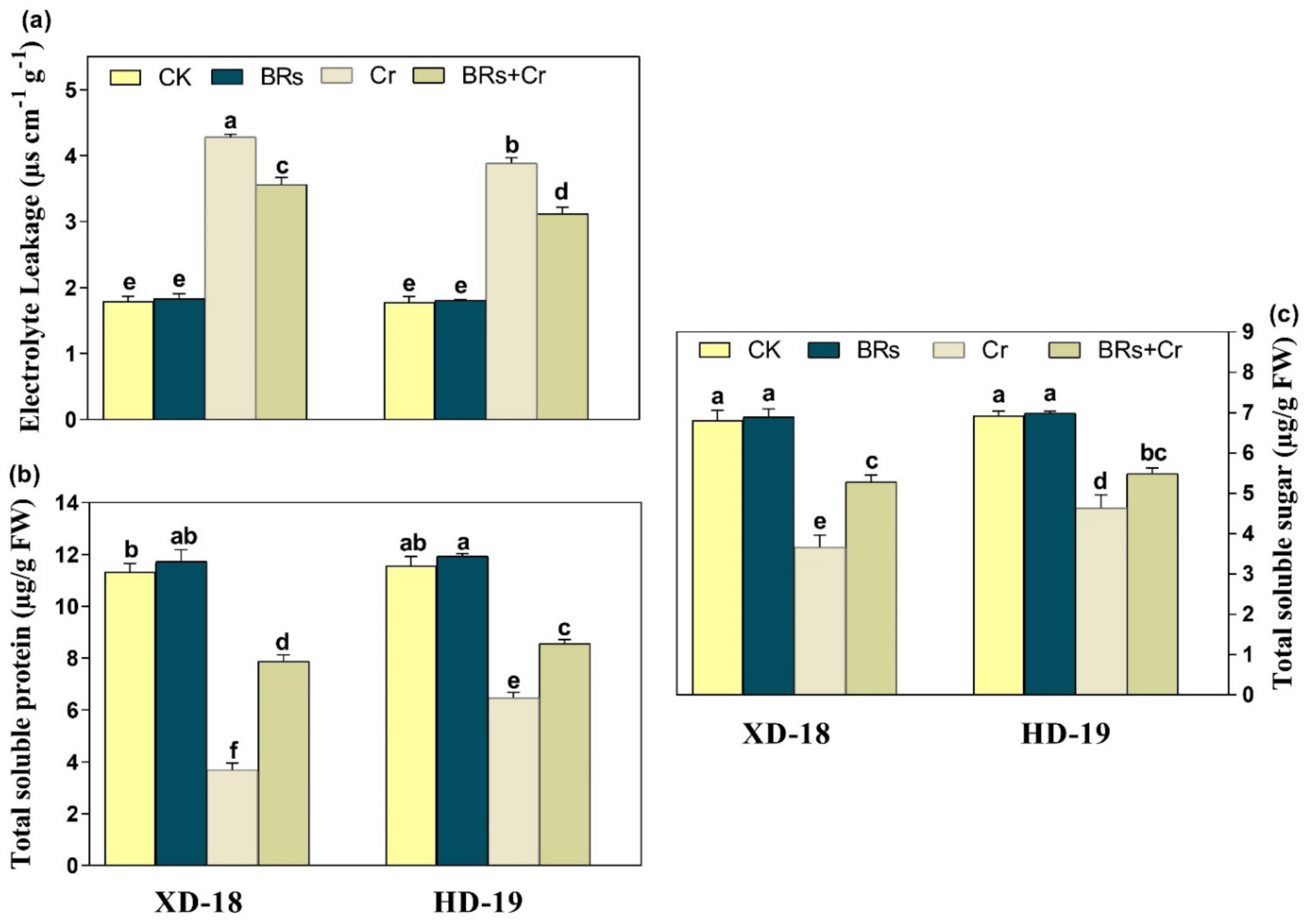 Plants 11 02292 g004 550