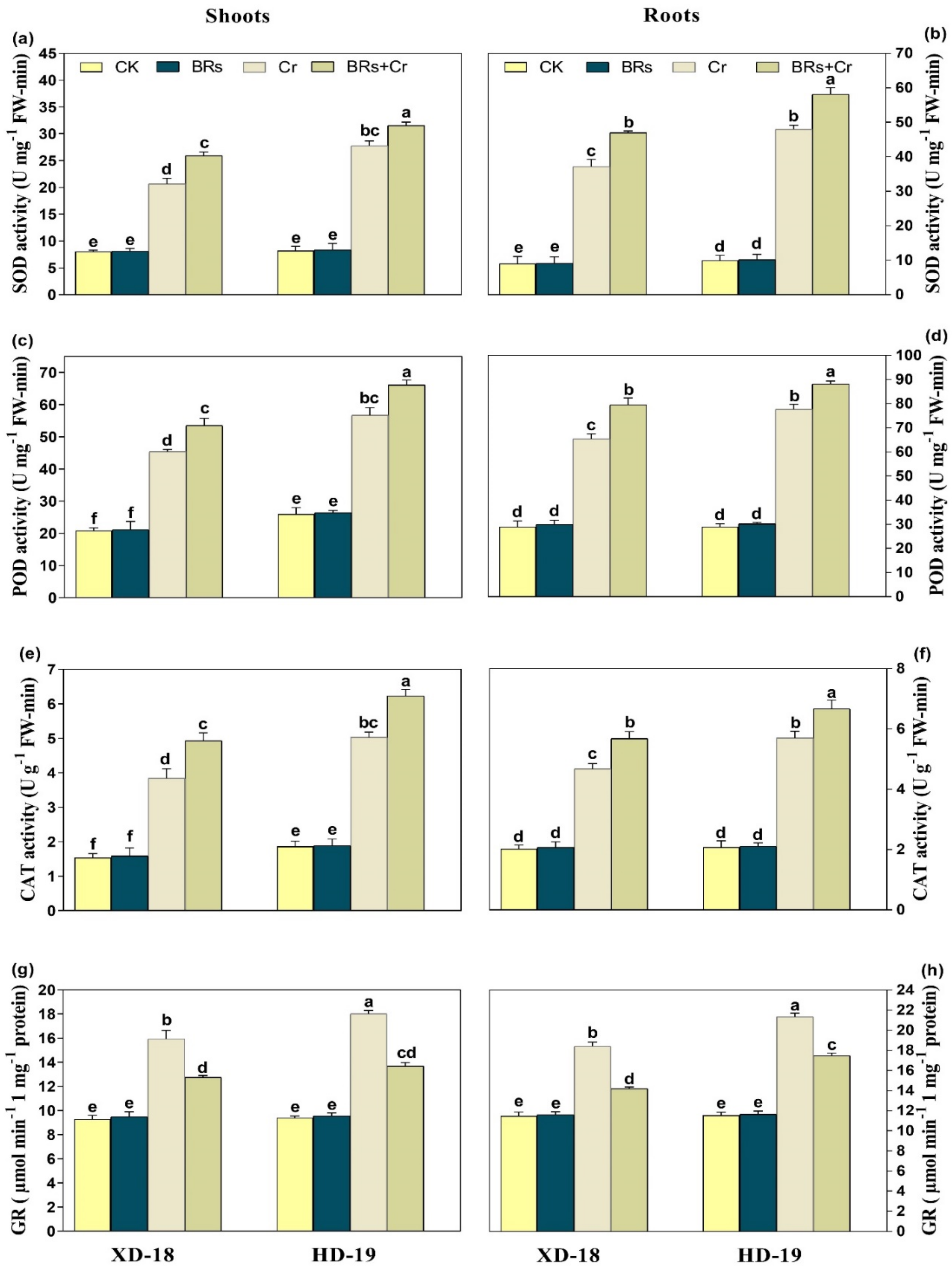 Plants 11 02292 g007 550