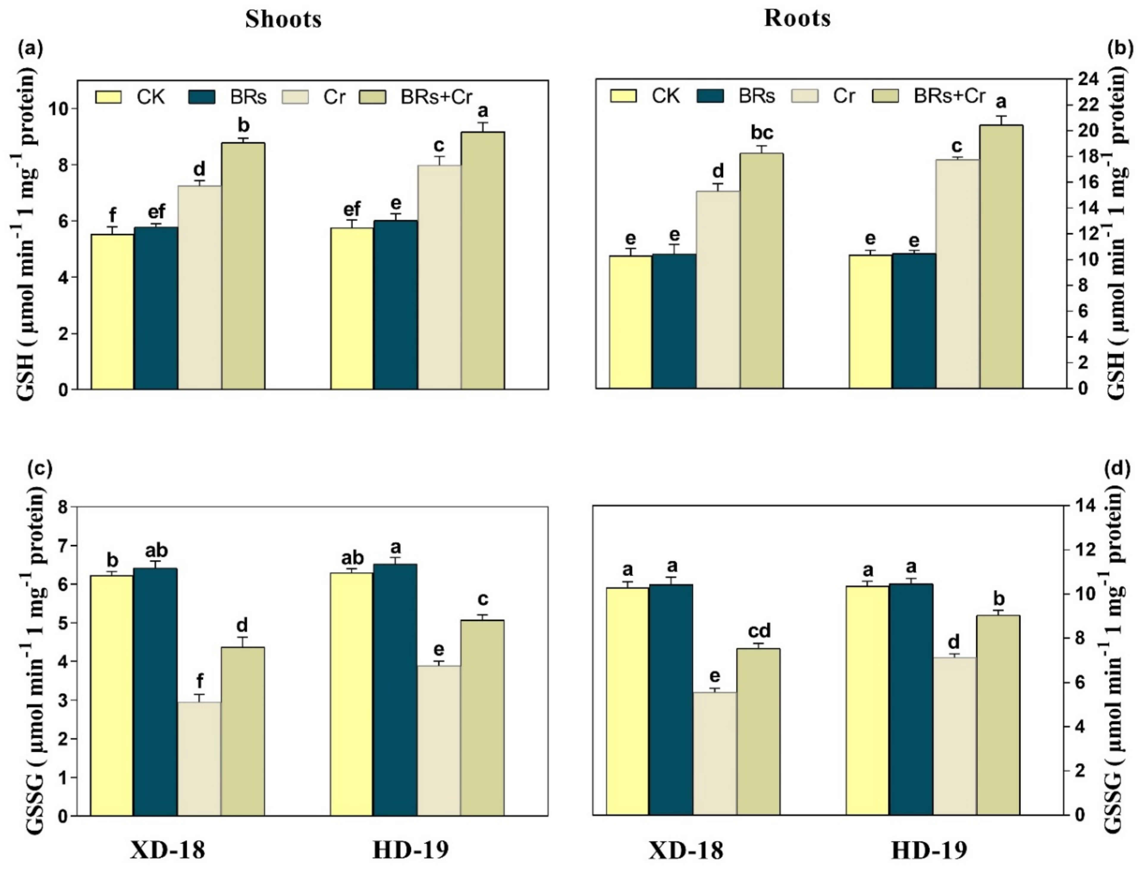 Plants 11 02292 g008 550