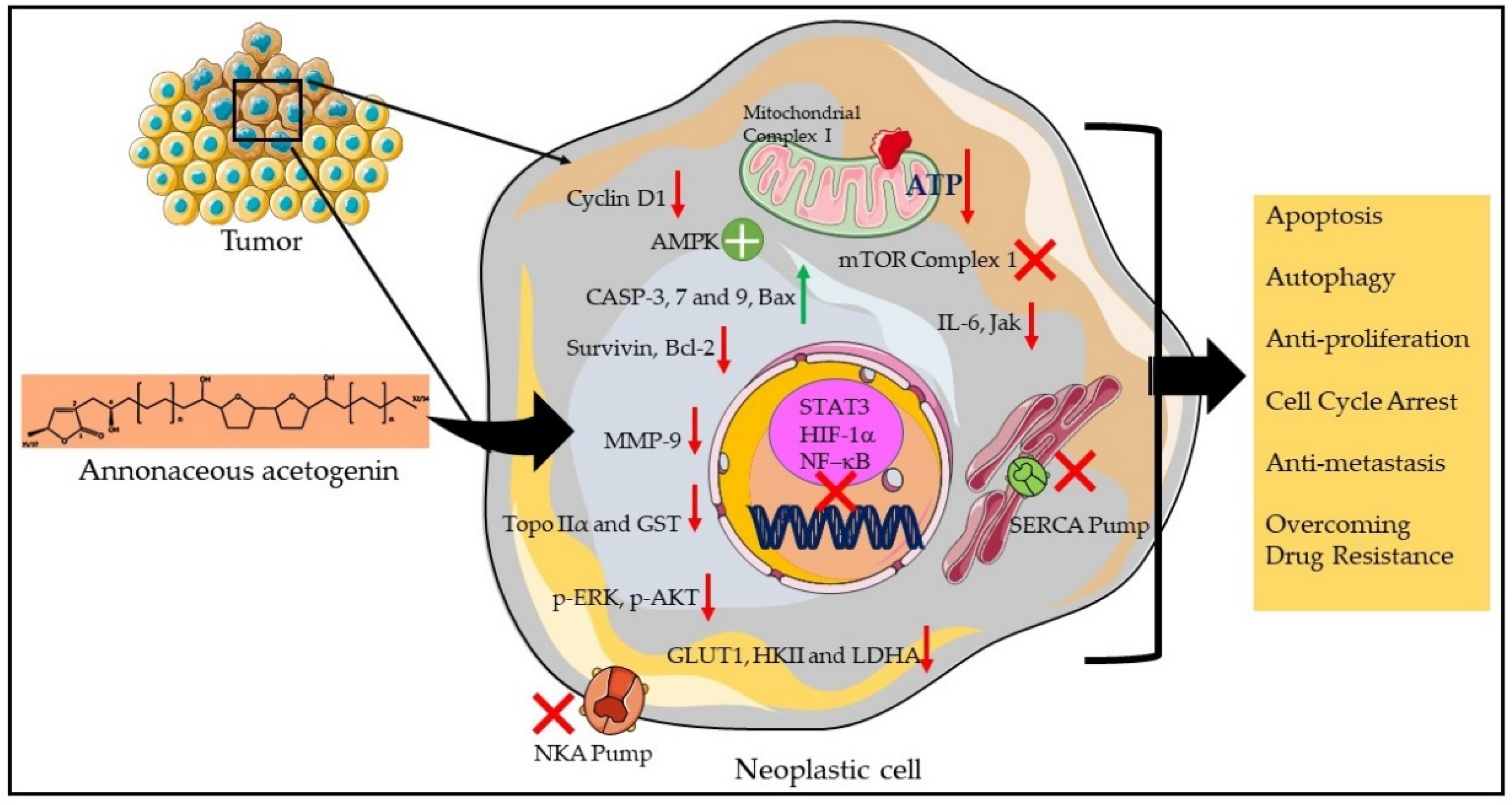Plants 11 02293 g003