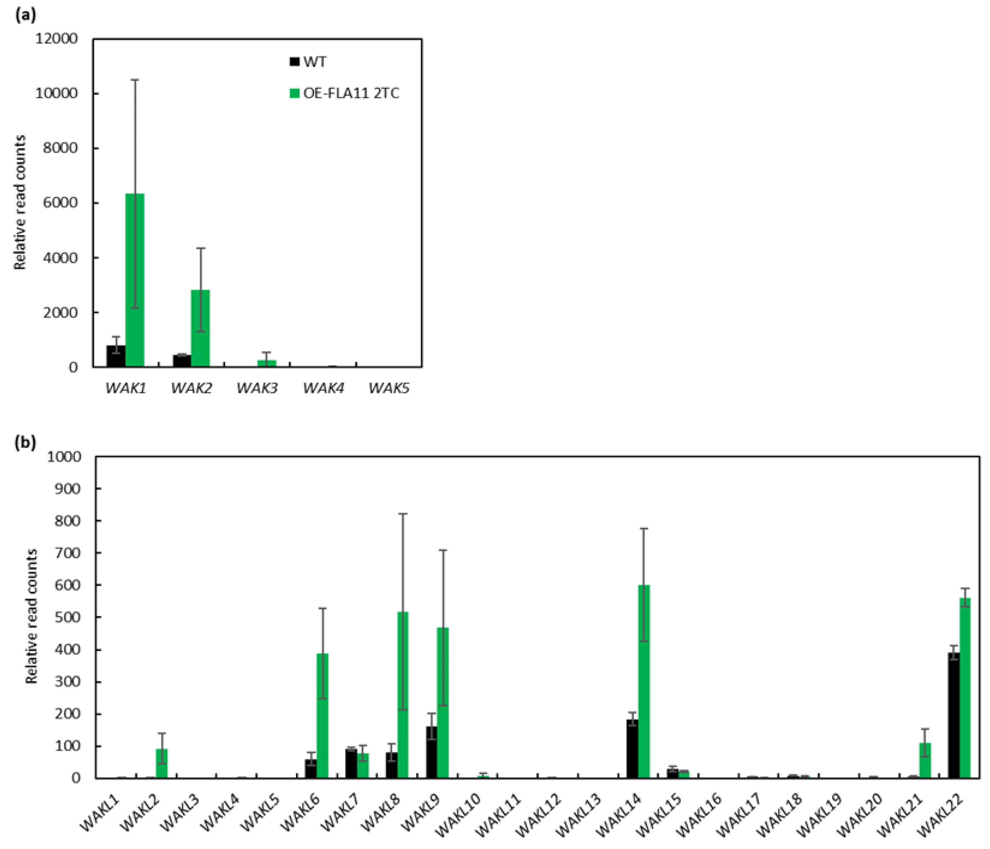 Plants 11 02297 g001