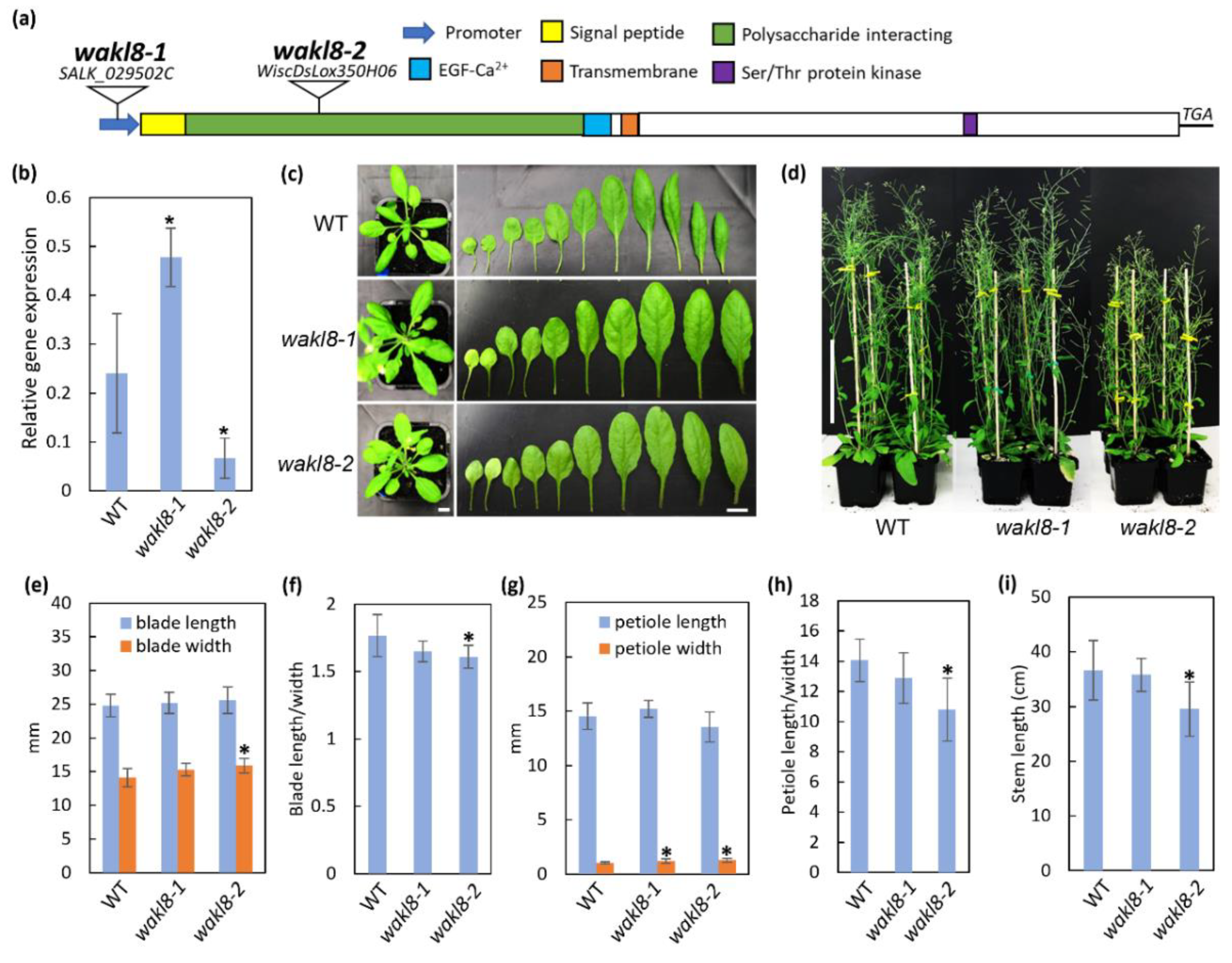 Plants 11 02297 g003