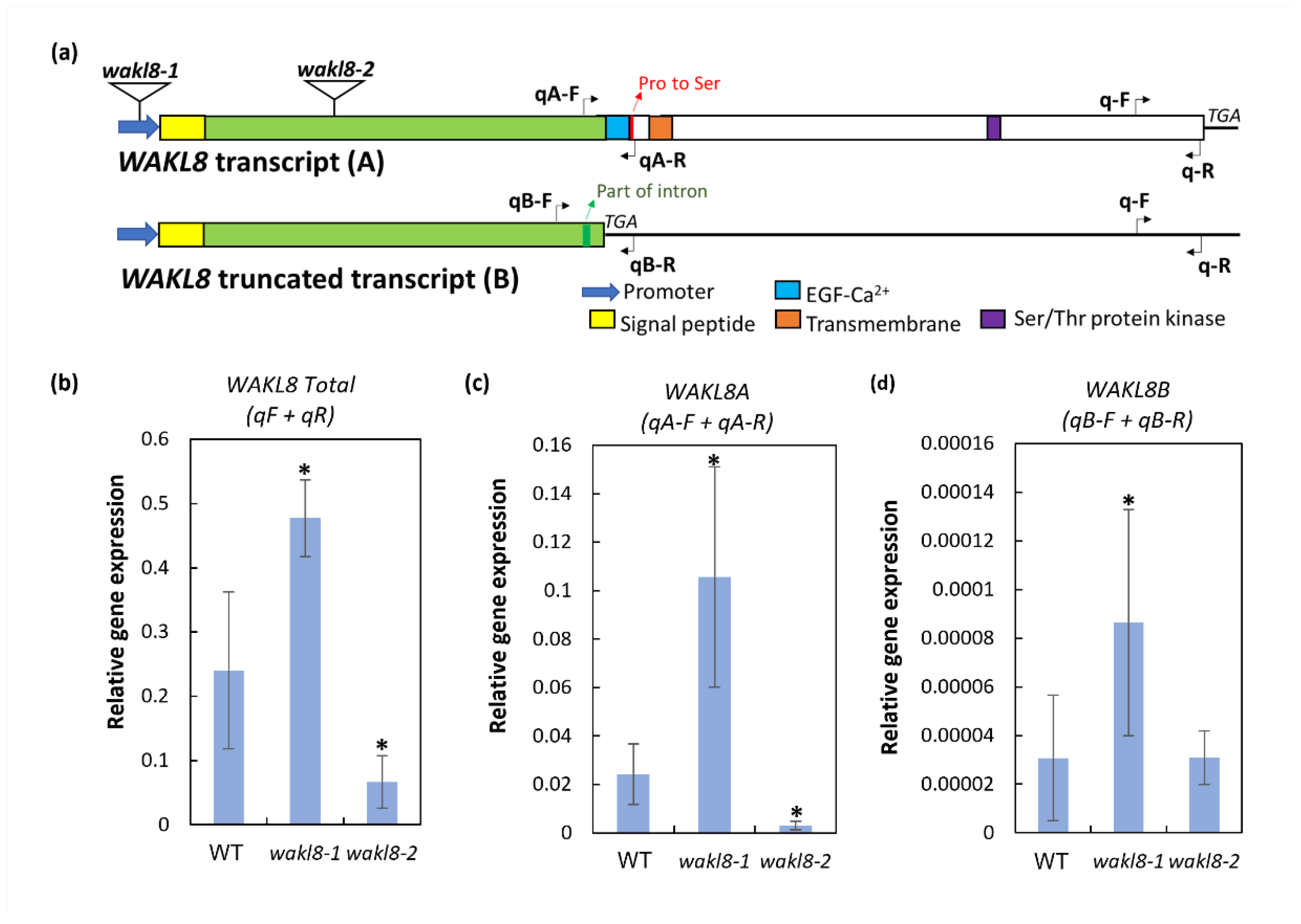 Plants 11 02297 g006