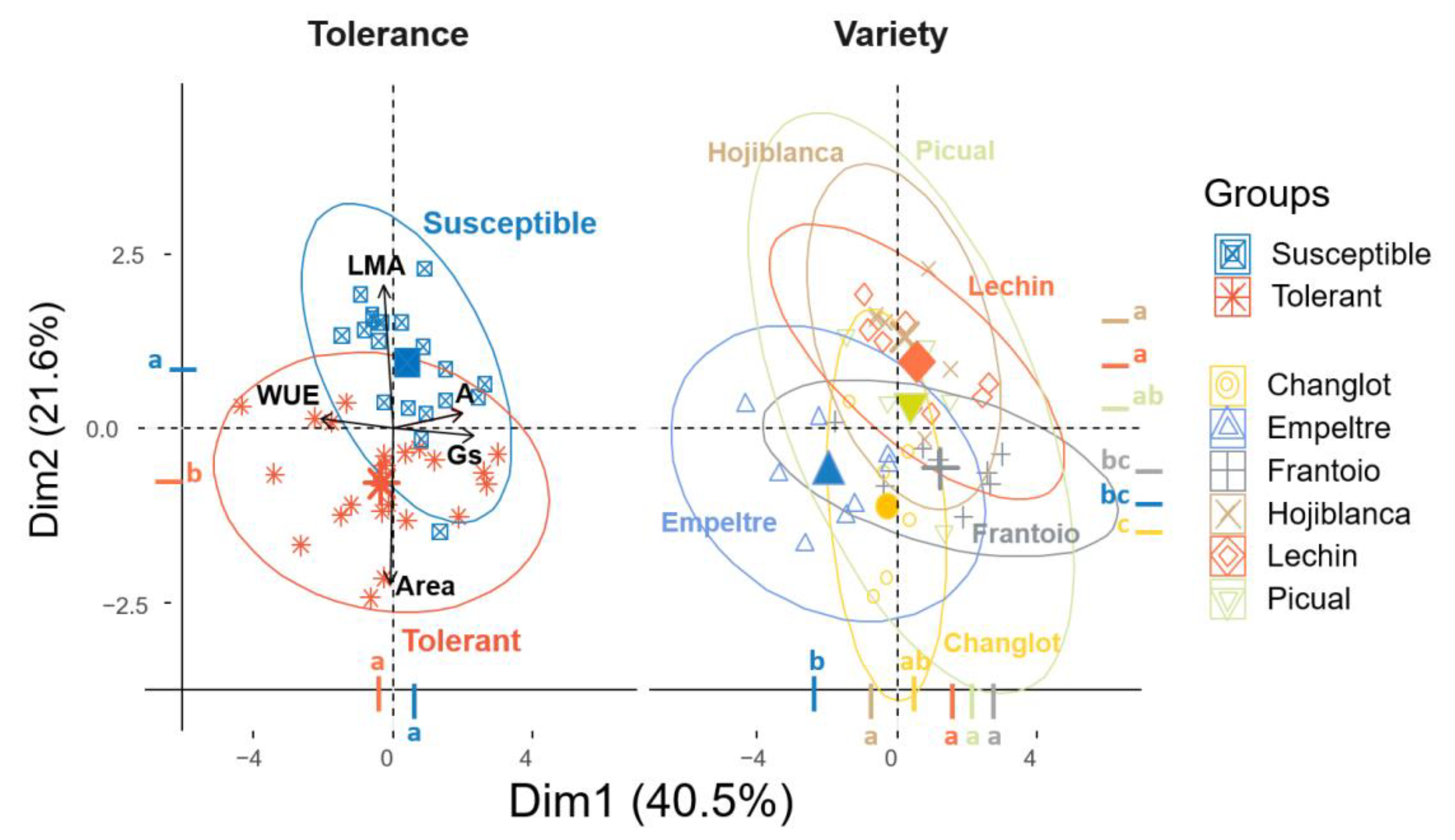 Plants 11 02302 g008 550