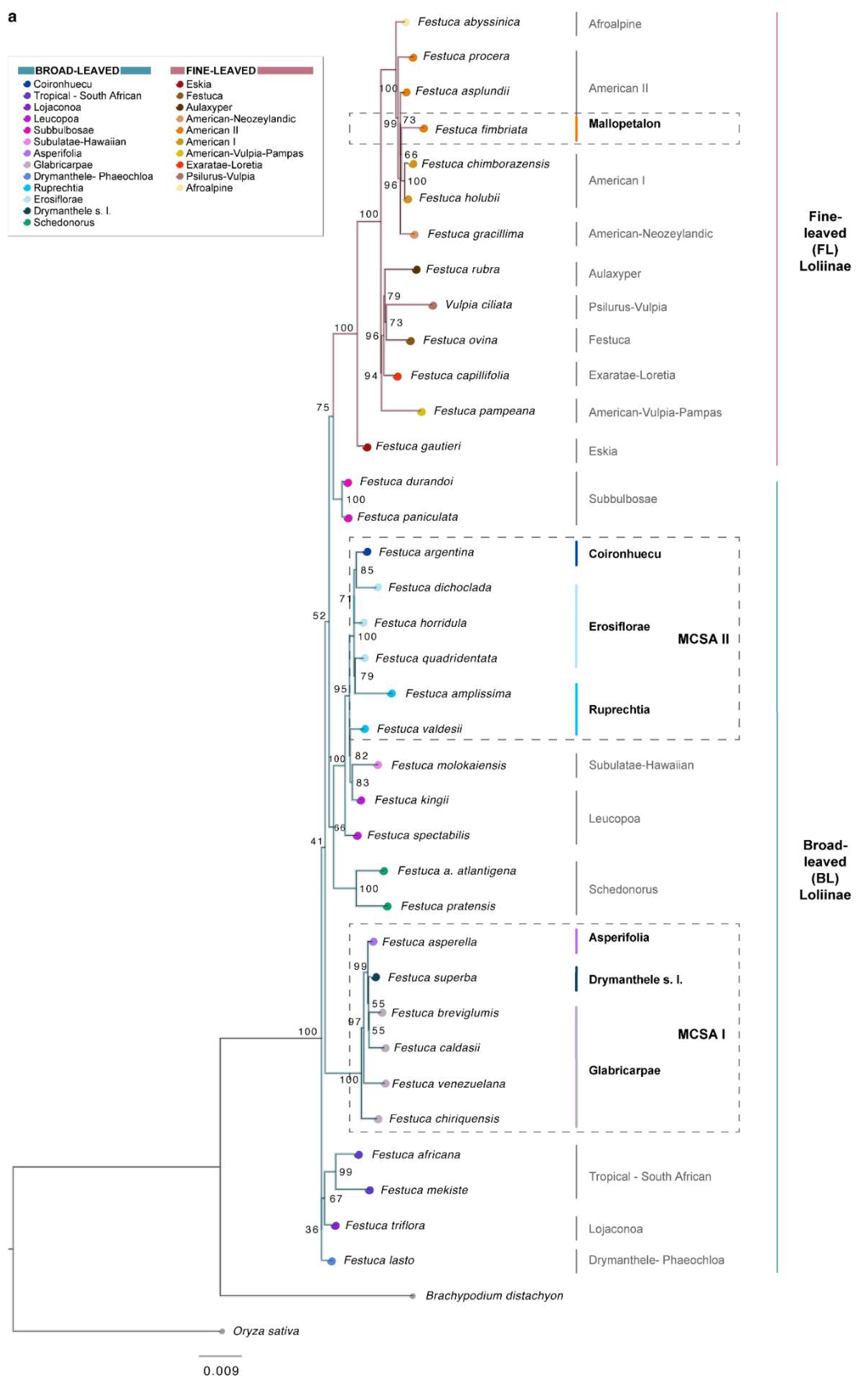 Plants 11 02303 g002a Plants 11 02303 g002a