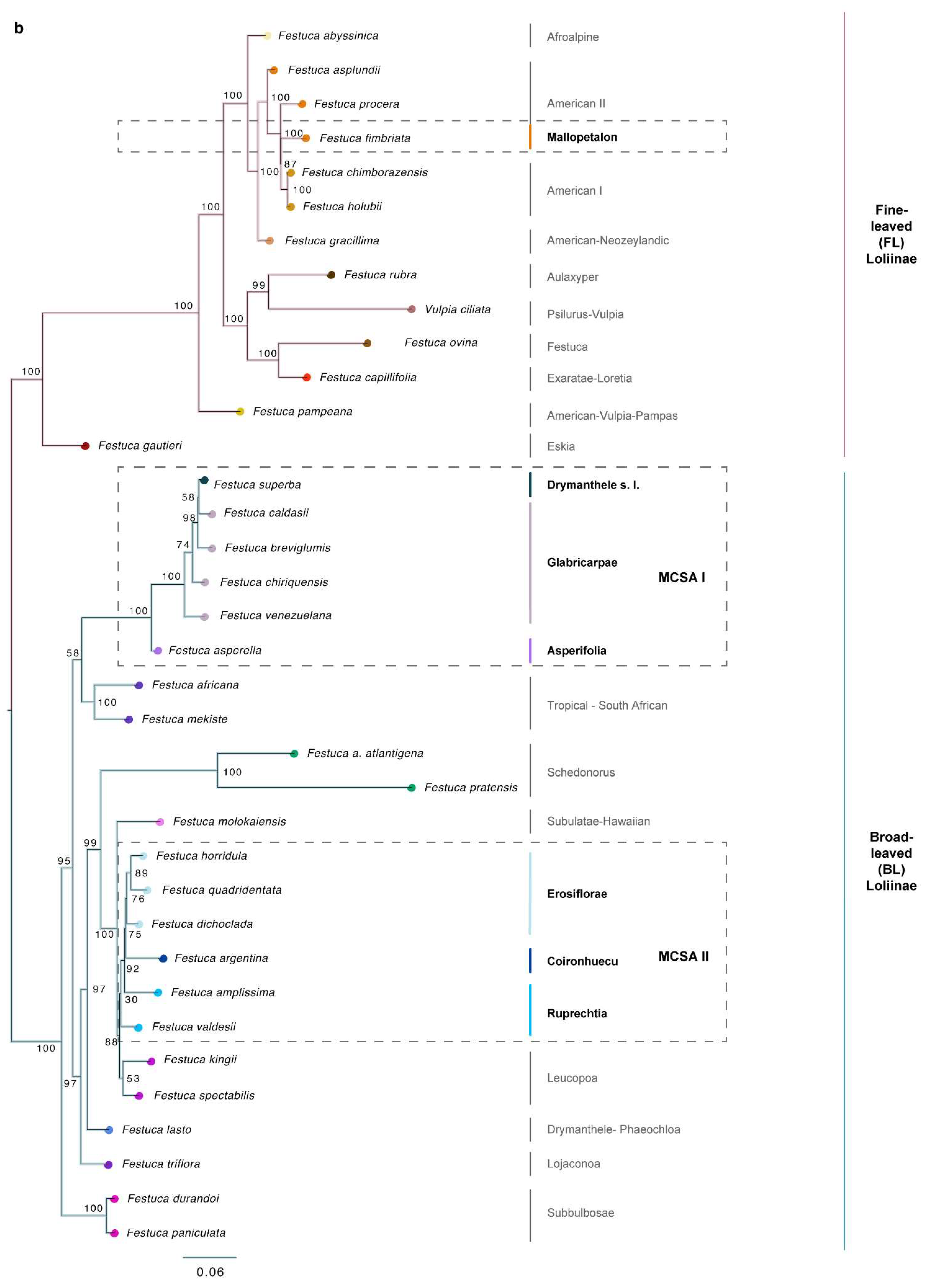 Plants 11 02303 g002b Plants 11 02303 g002b