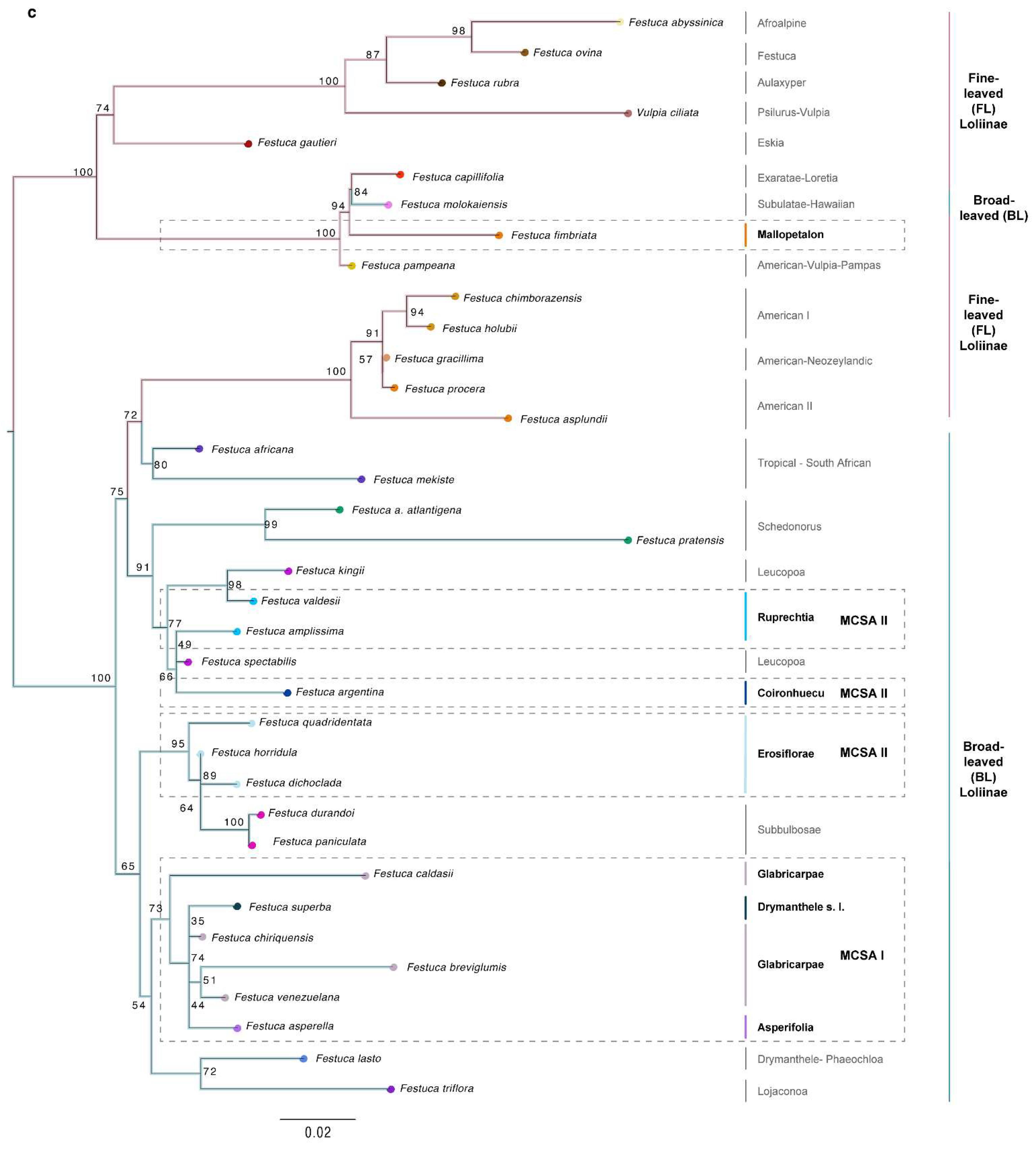 Plants 11 02303 g002c Plants 11 02303 g002c
