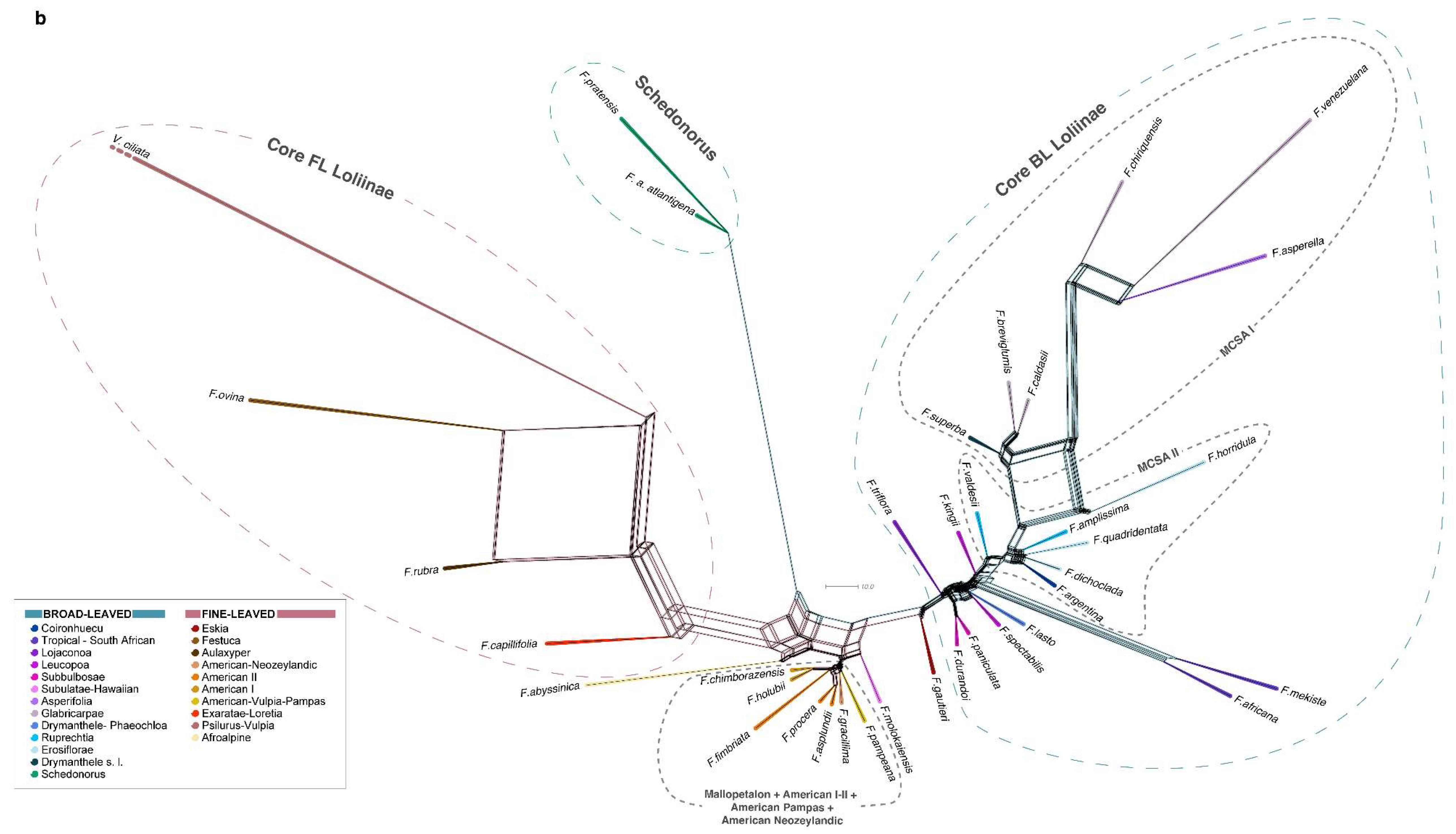 Plants 11 02303 g003b Plants 11 02303 g003b