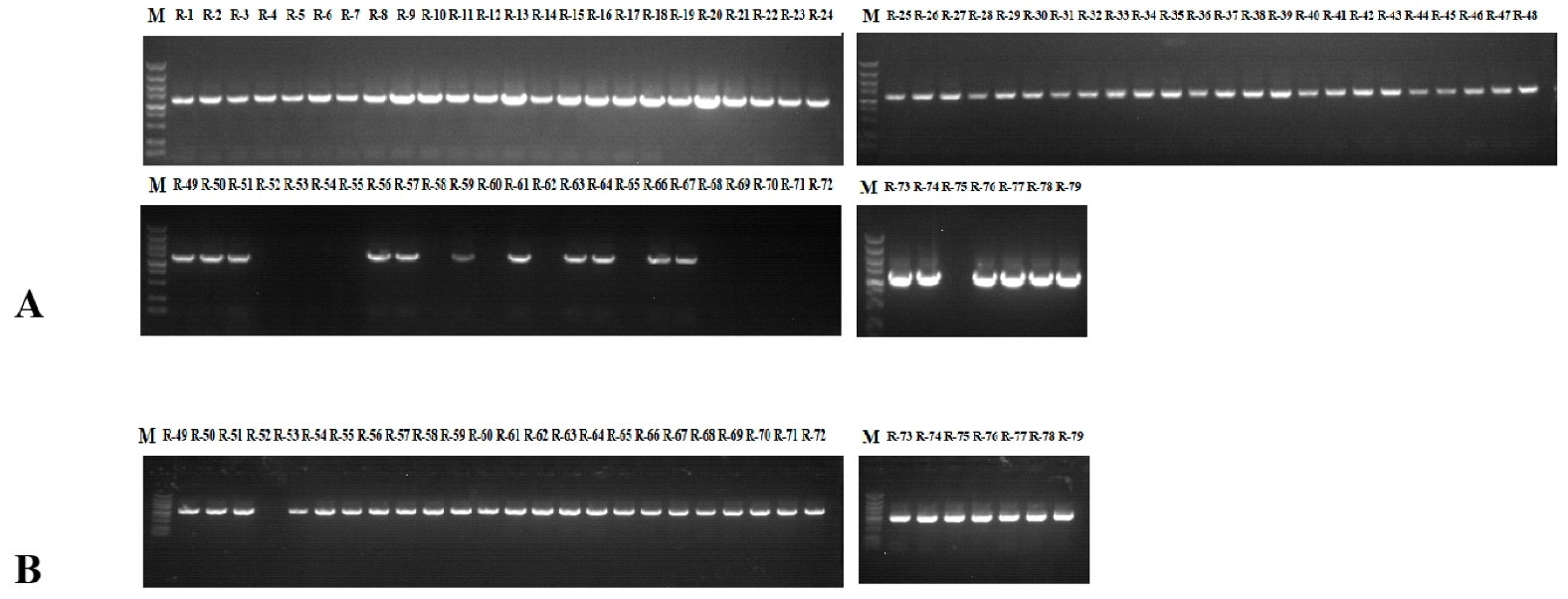 Plants 11 02304 g001 Plants 11 02304 g001