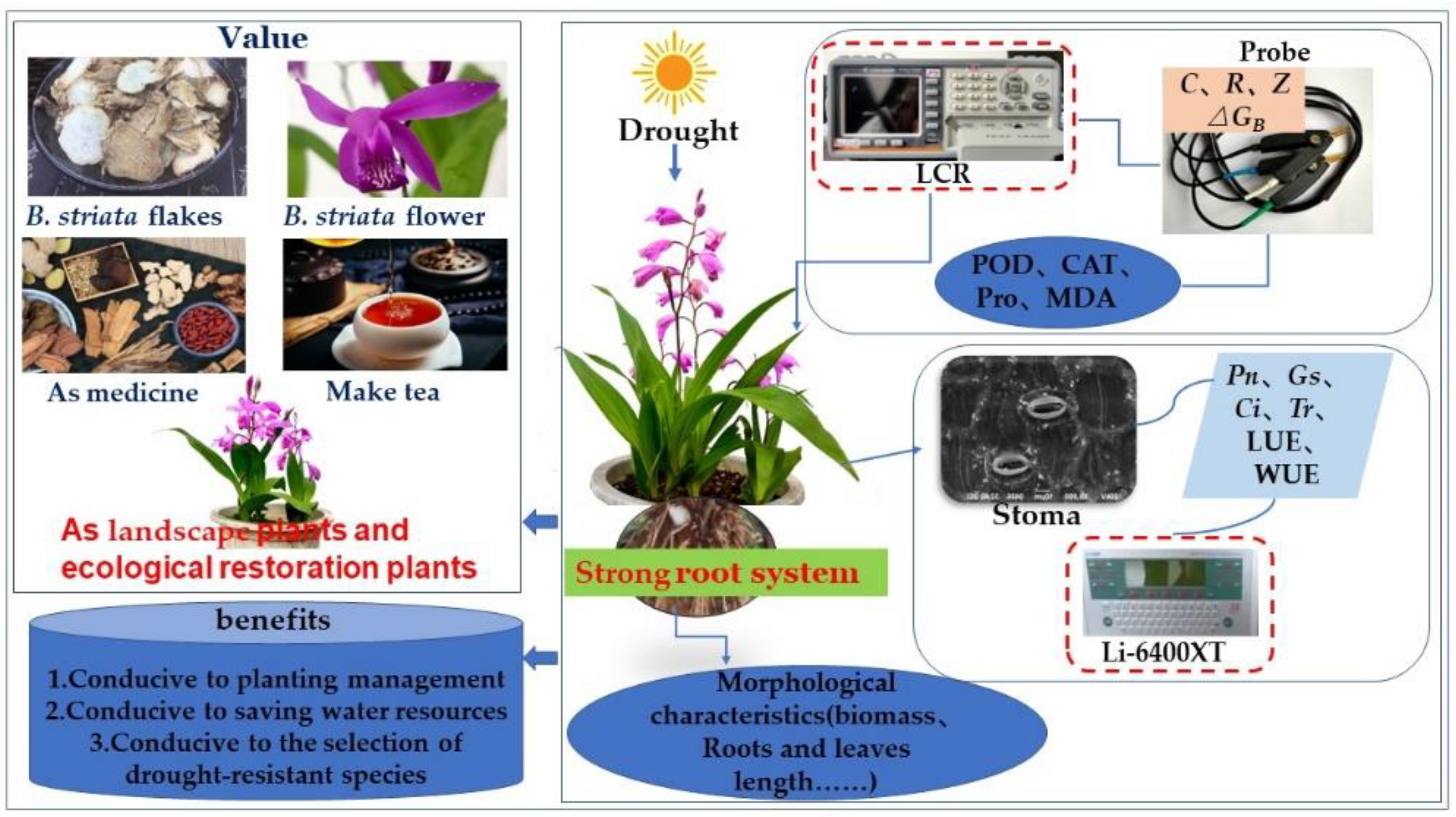 Plants 11 02313 g001 550