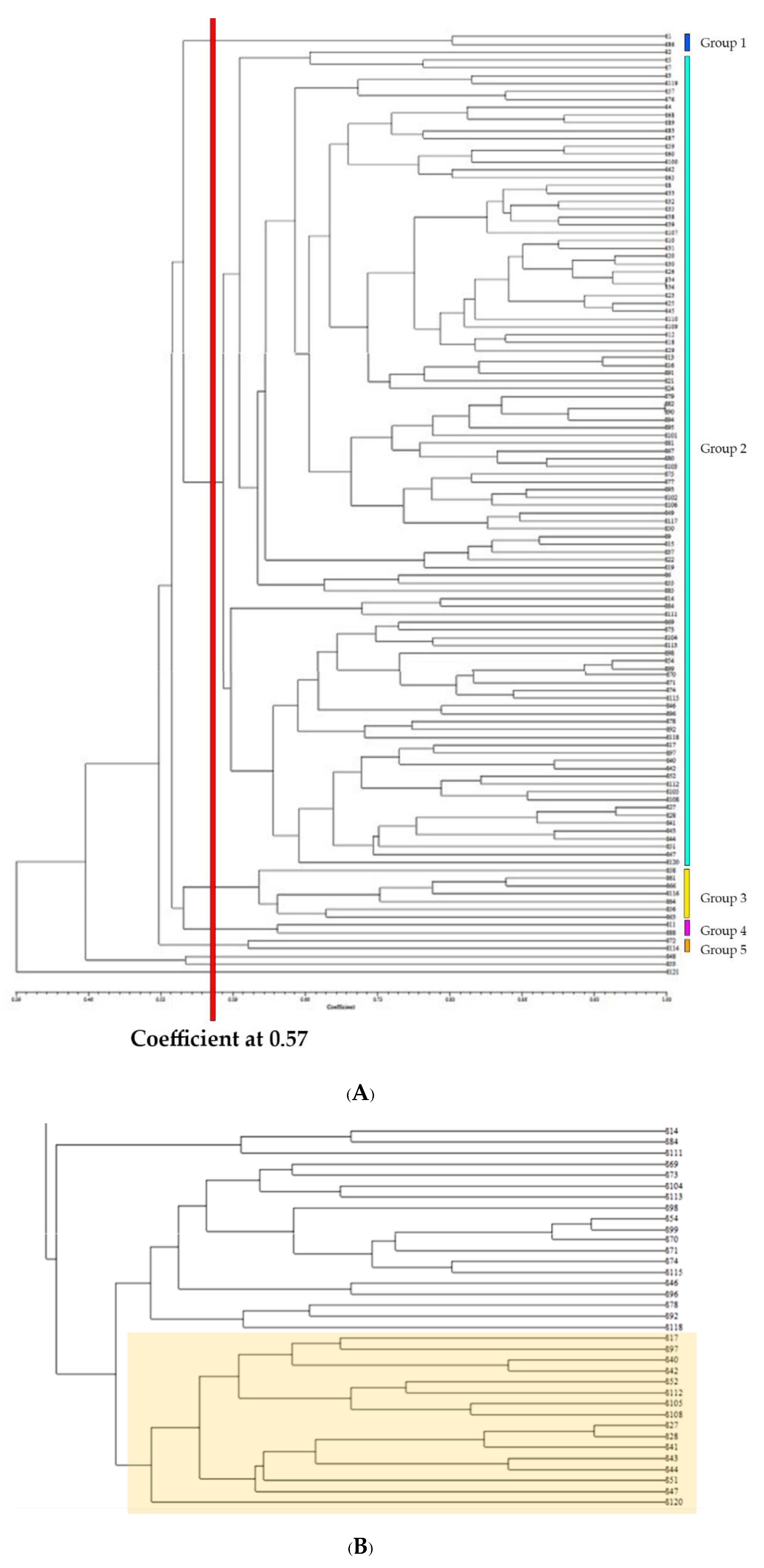 Plants 11 02317 g008