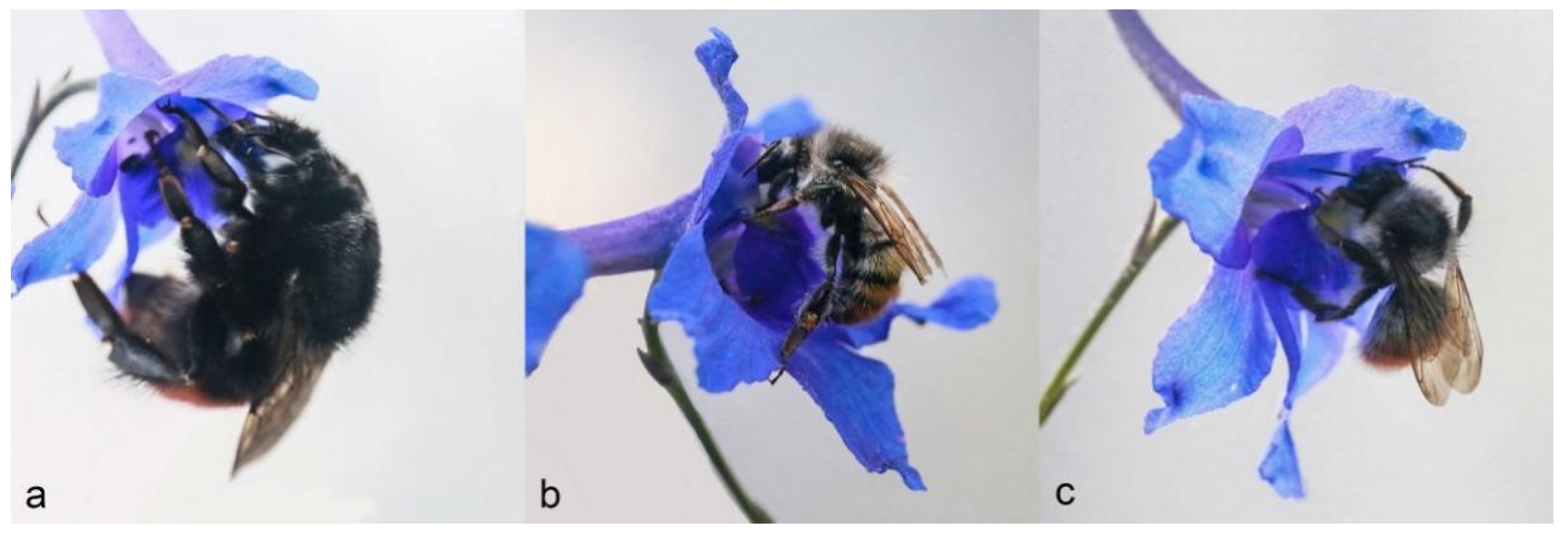 Plants 11 02319 g004 550