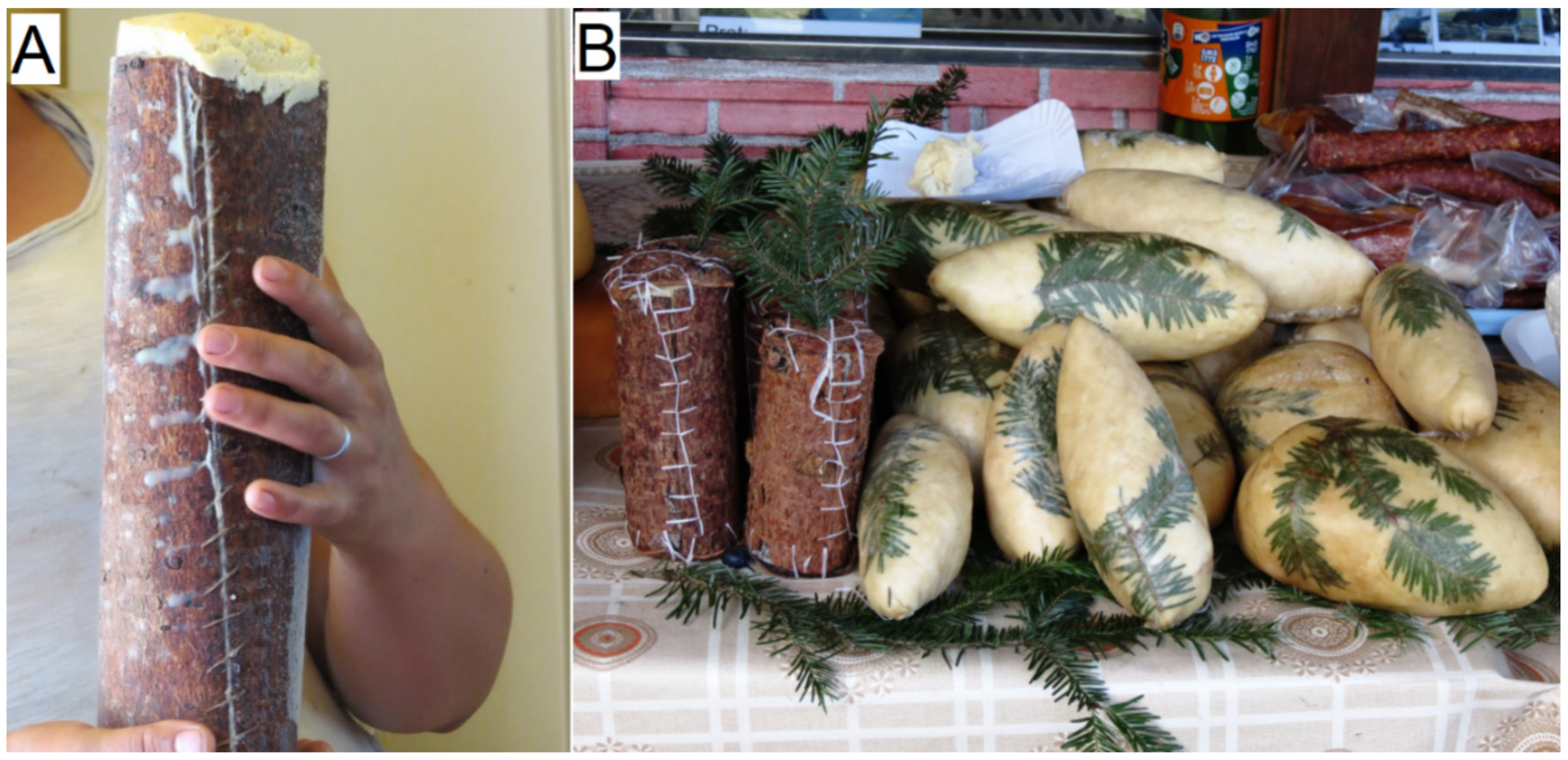 Plants 11 02331 g003 550