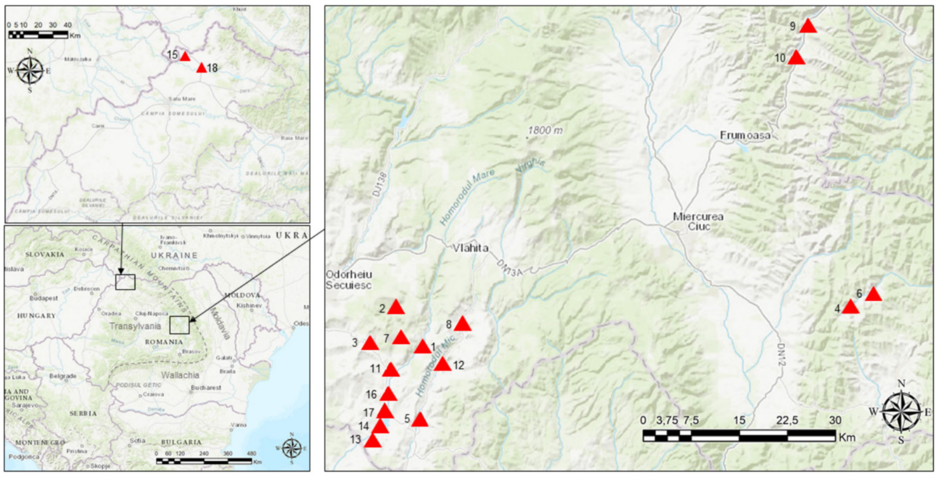 Plants 11 02331 g004 550