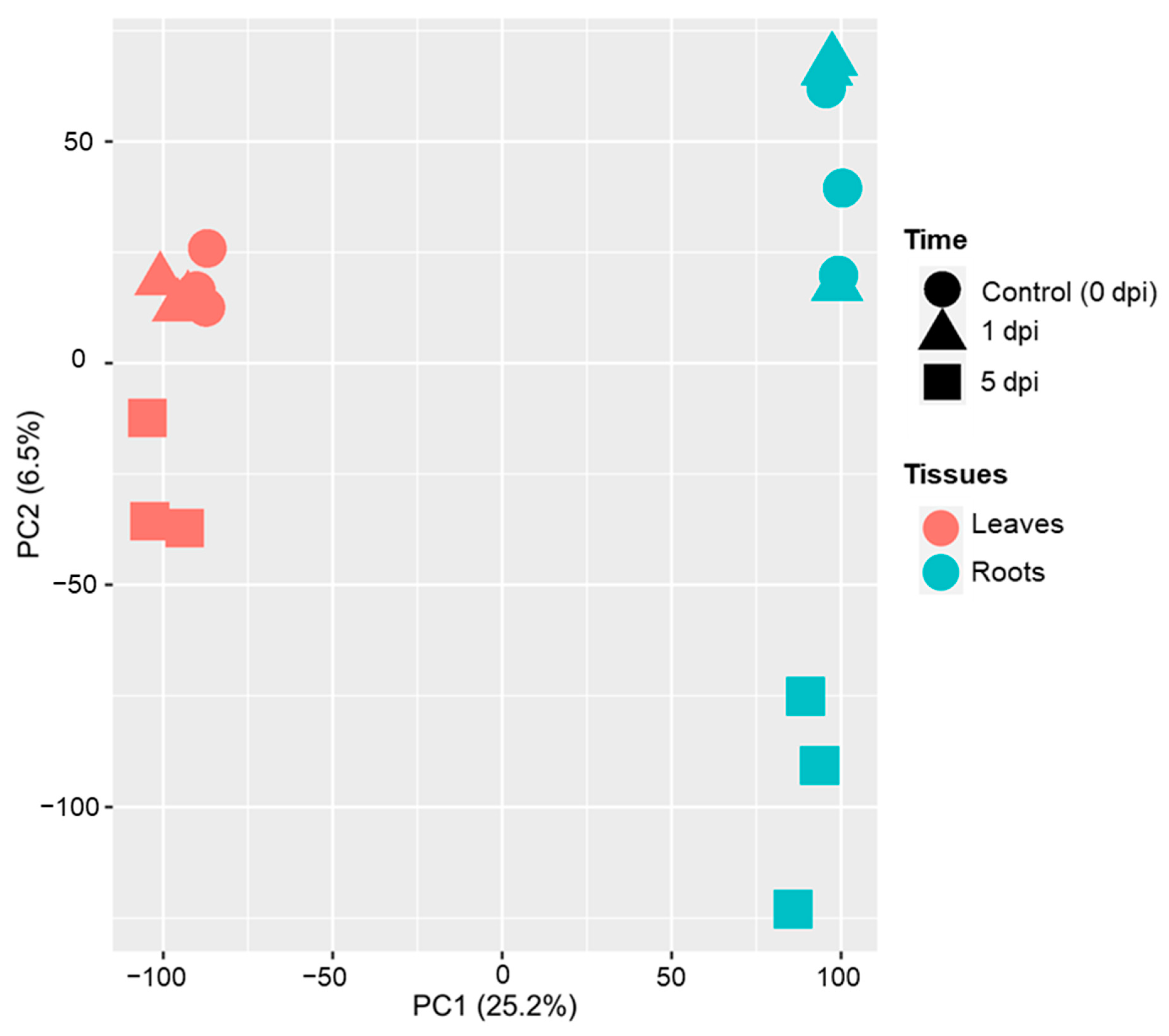Plants 11 02335 g001