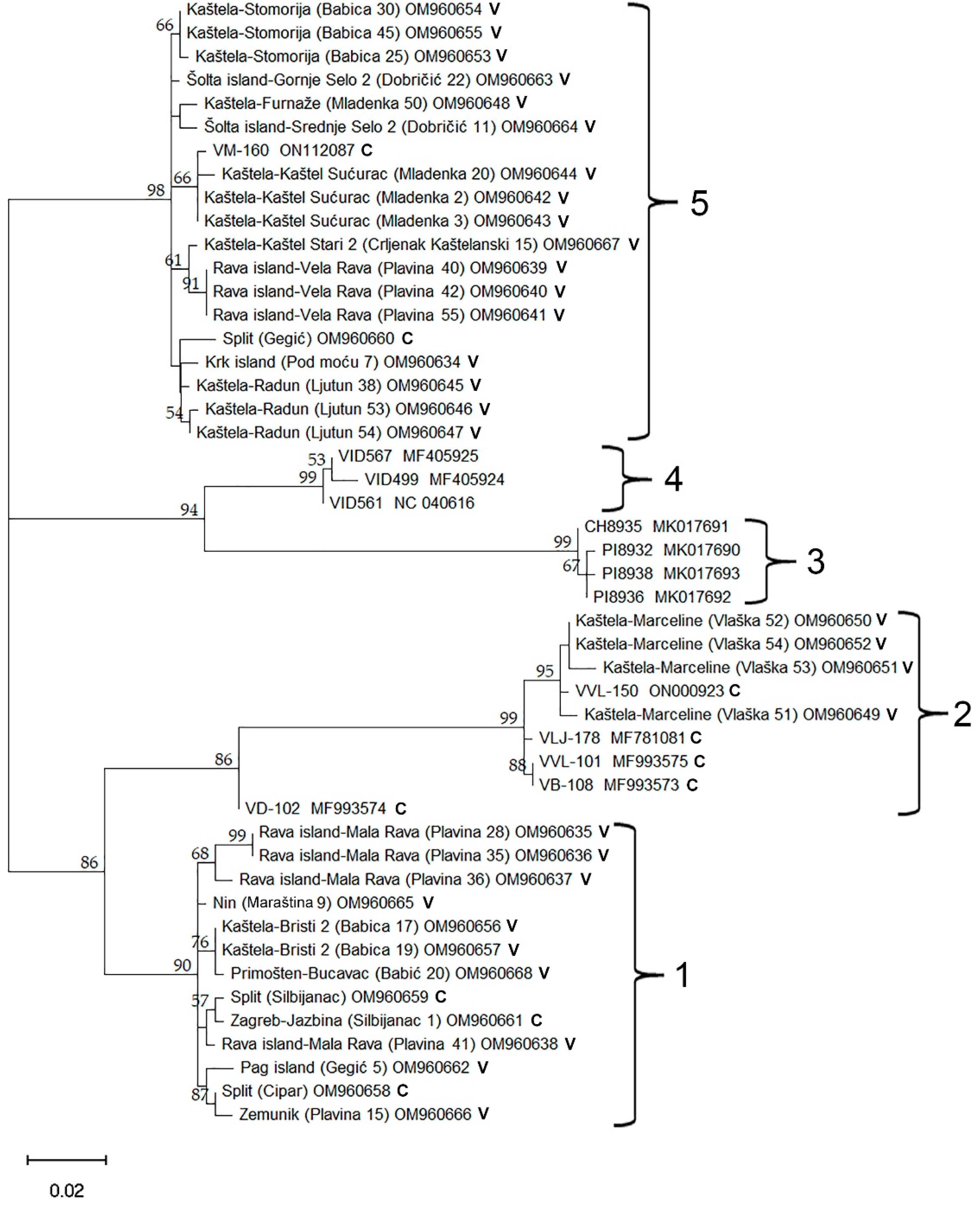 Plants 11 02341 g005 550