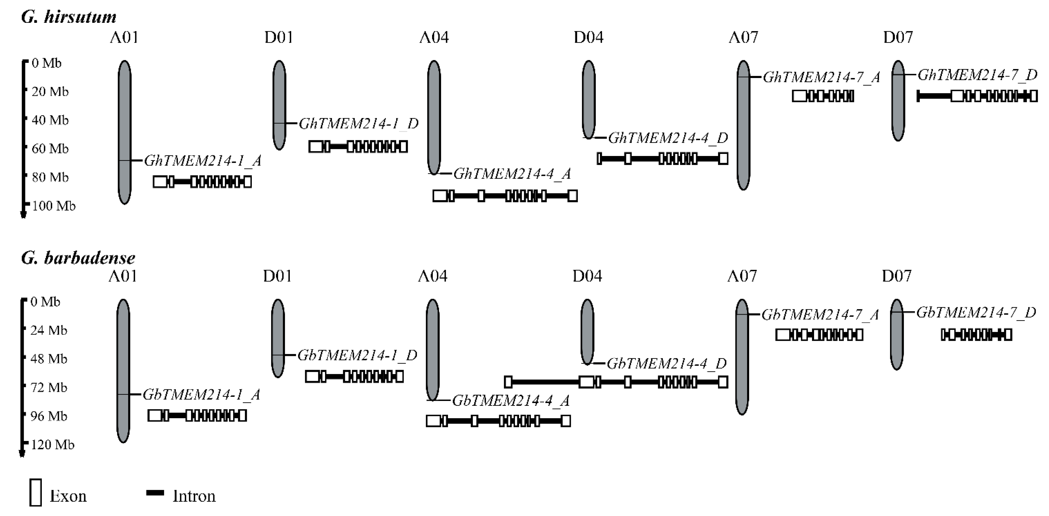 Plants 11 02342 g001