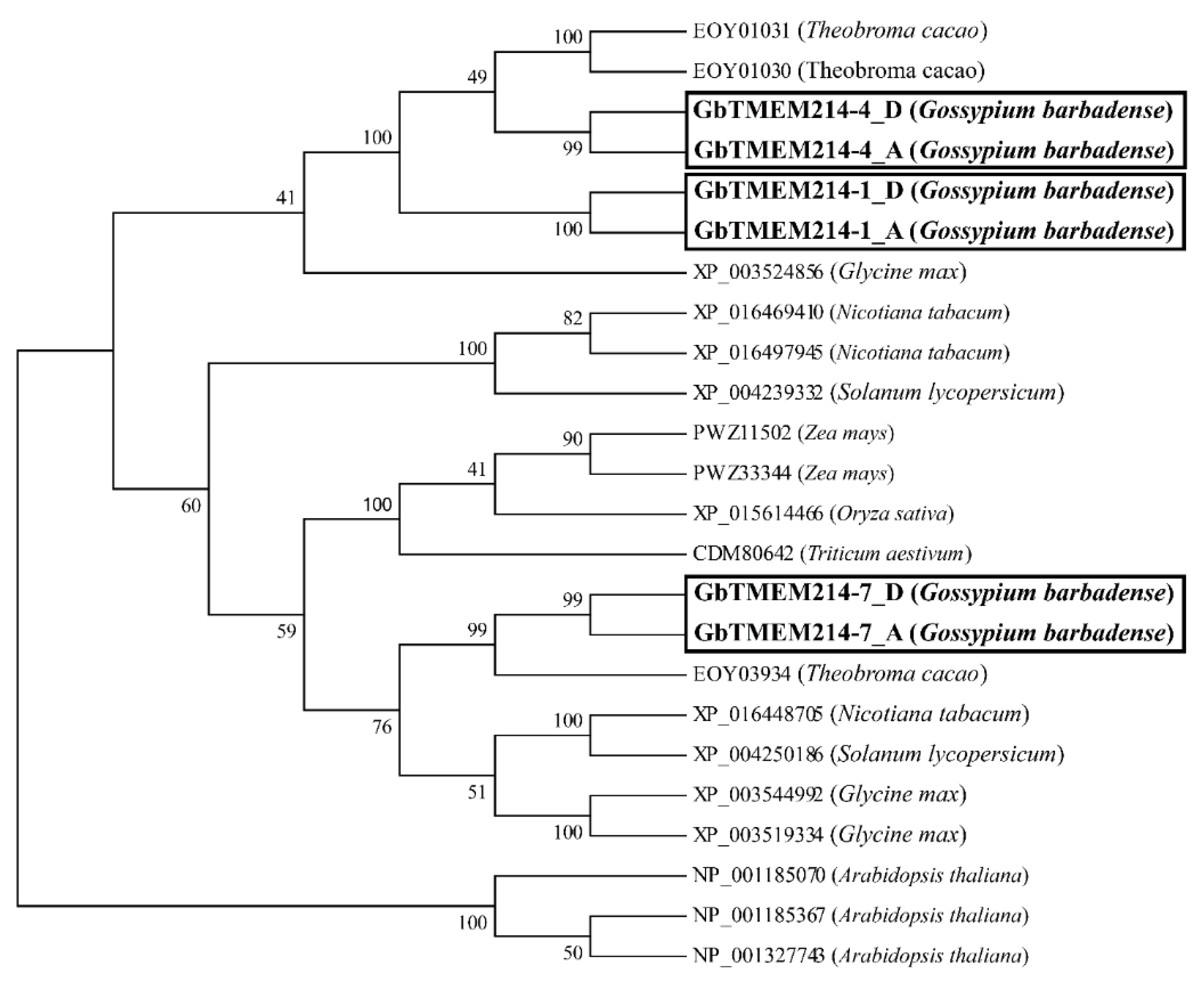 Plants 11 02342 g002