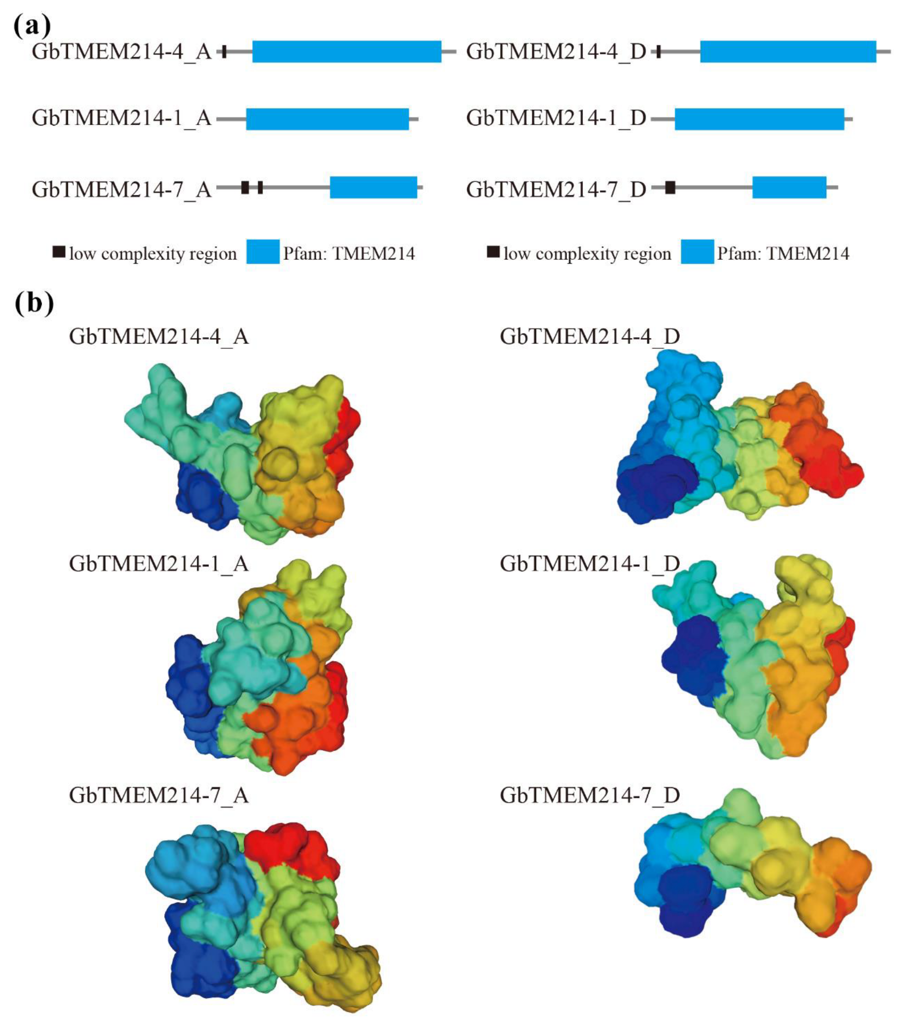 Plants 11 02342 g003