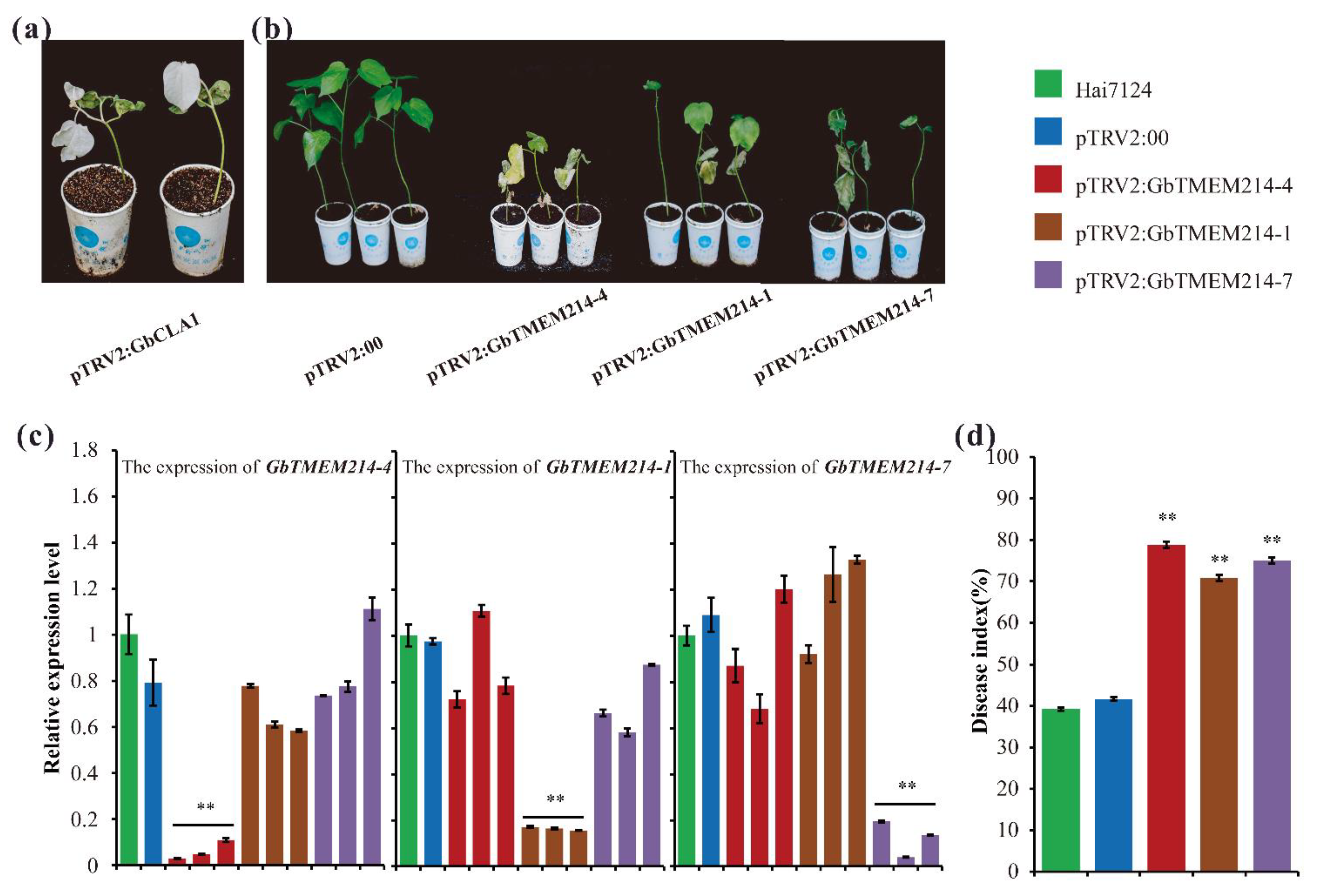 Plants 11 02342 g007