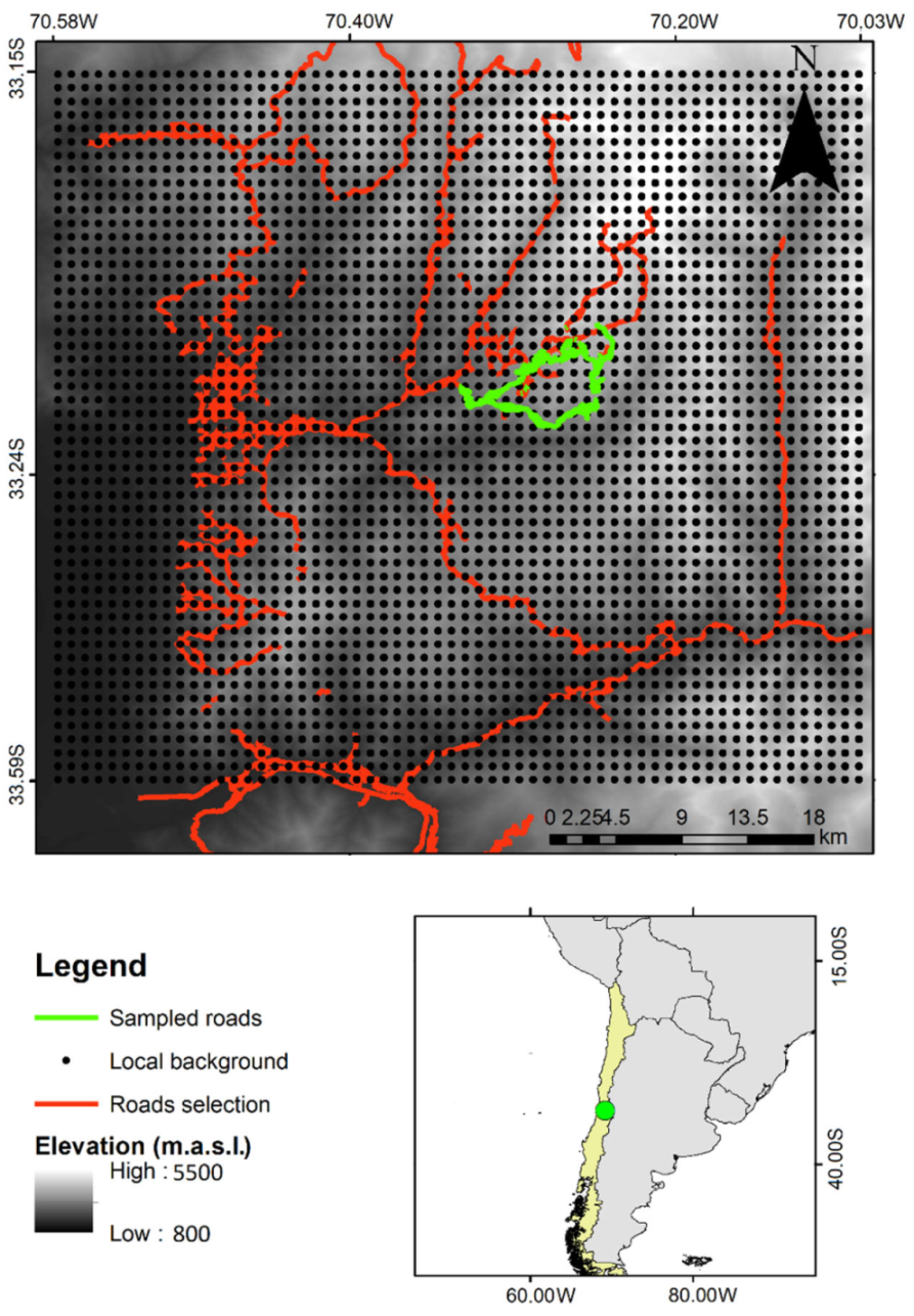 Plants 11 02345 g004 550