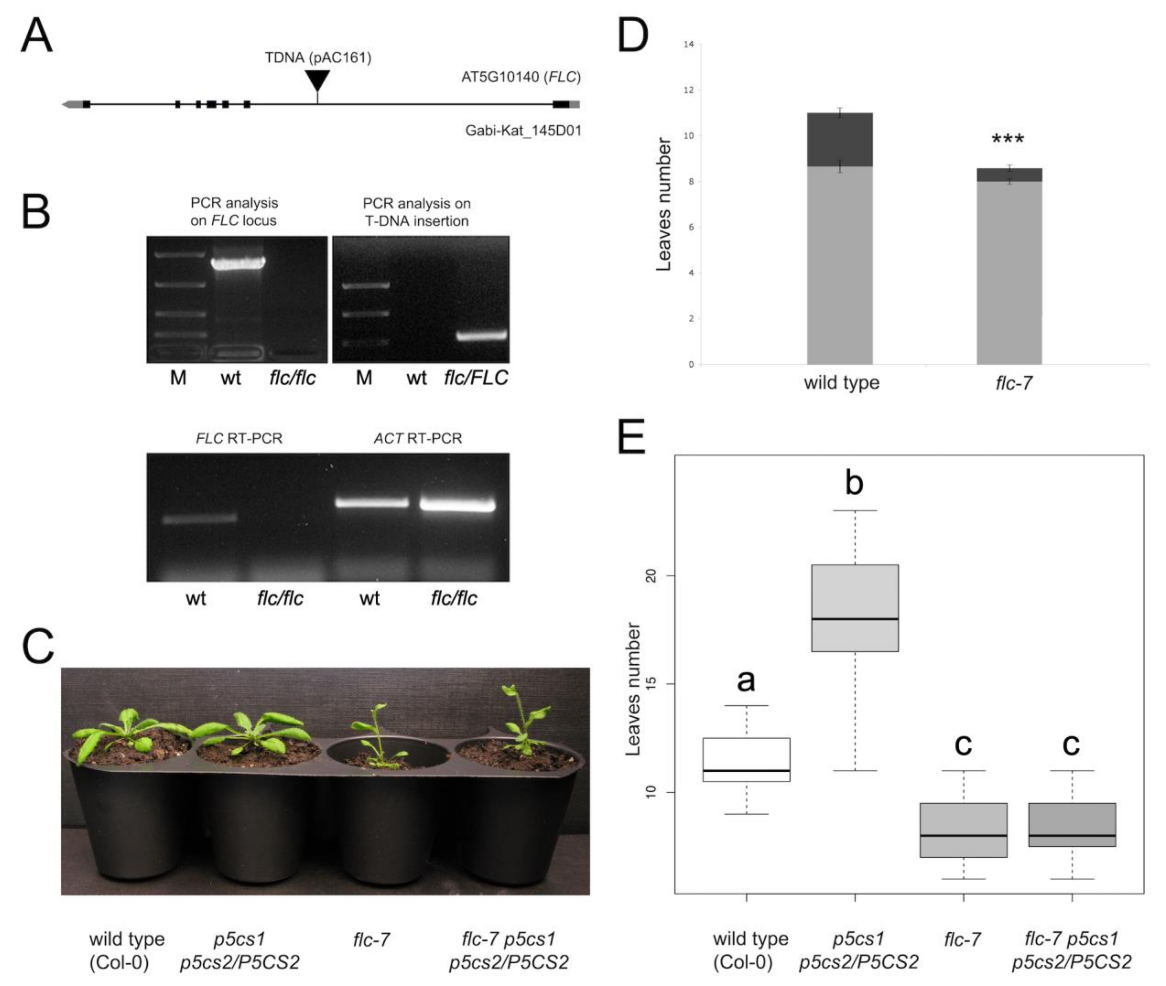 Plants 11 02348 g005 Plants 11 02348 g005