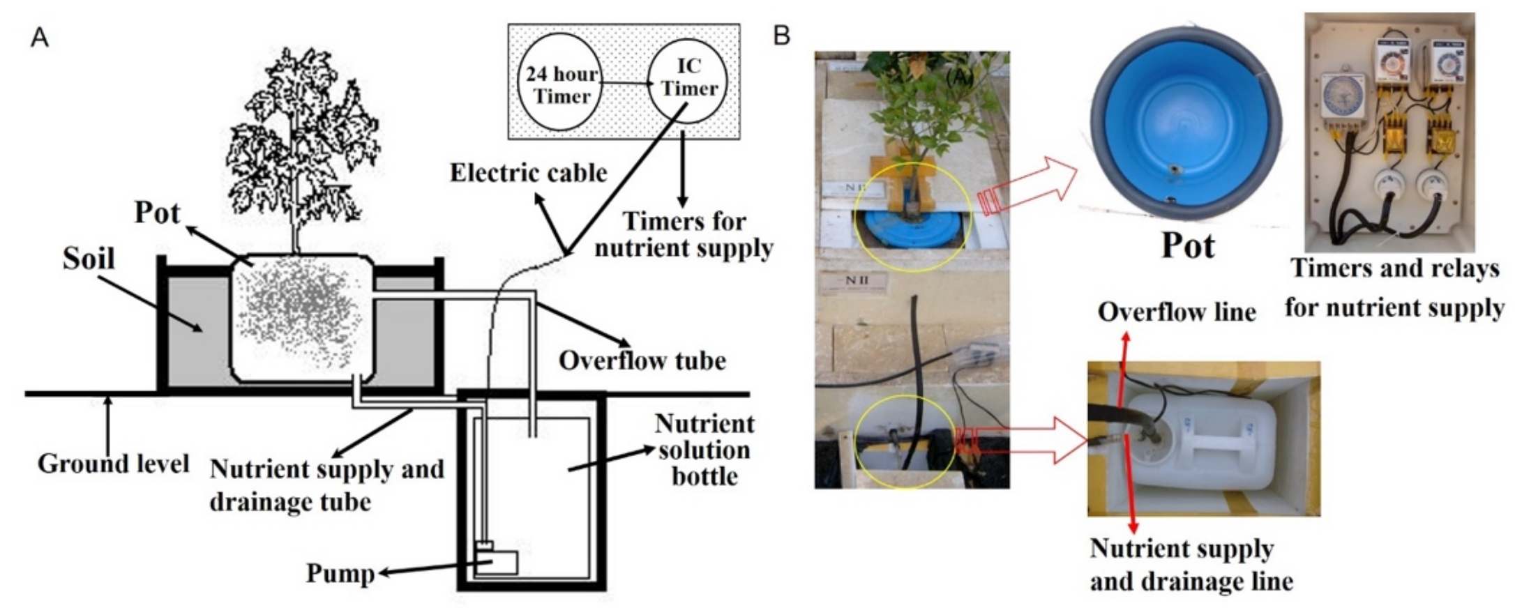 Plants 11 02351 g007 Plants 11 02351 g007
