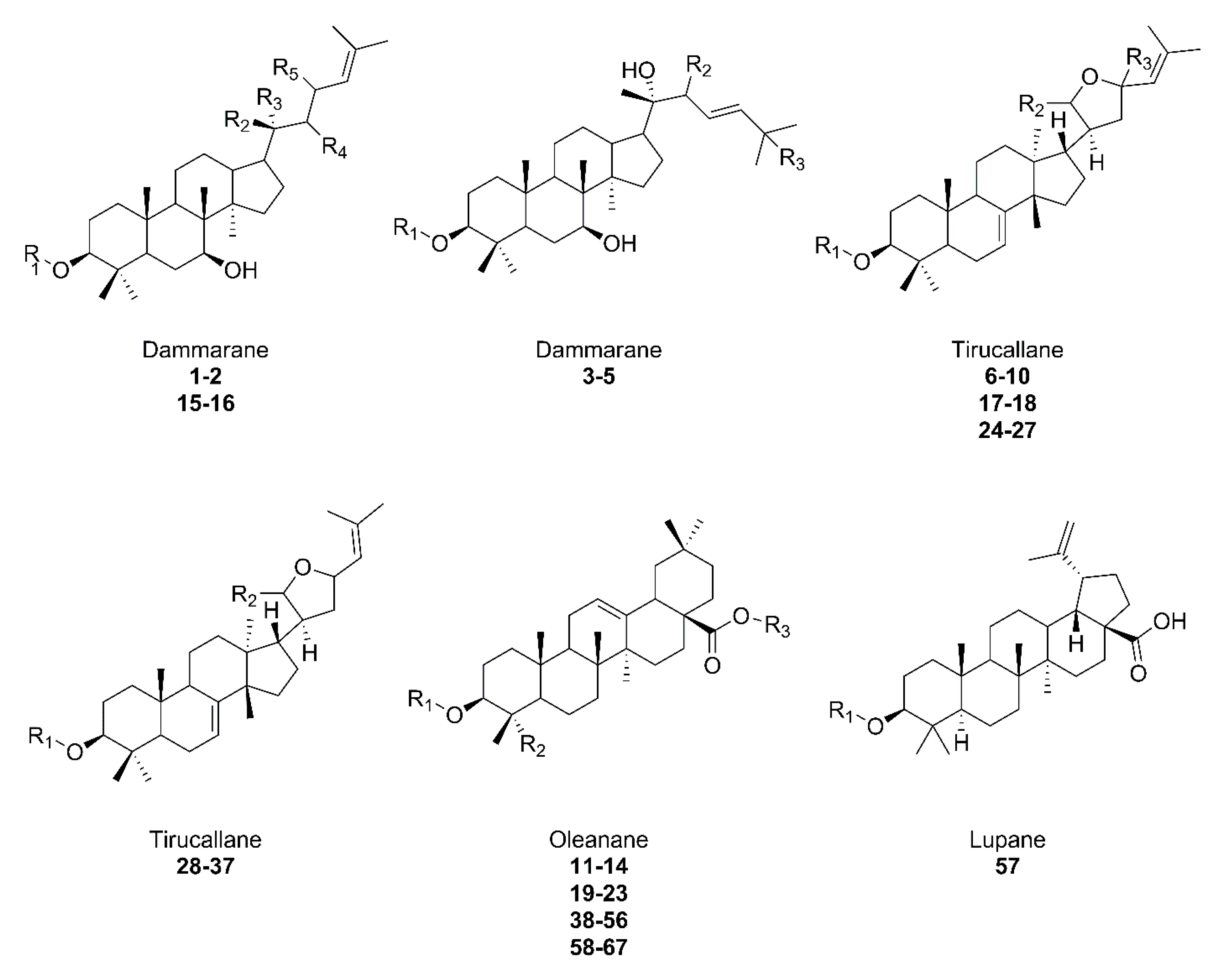 Plants 11 02355 g003 Plants 11 02355 g003