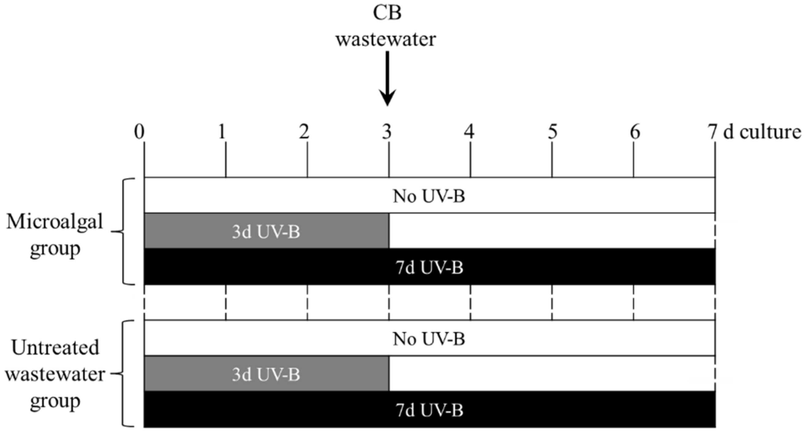 Plants 11 02356 g005 550