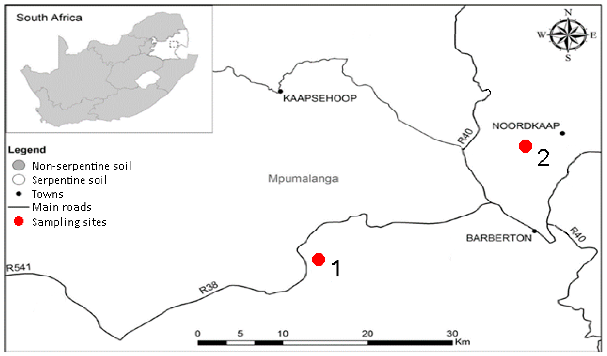 Plants 11 02360 g005 550